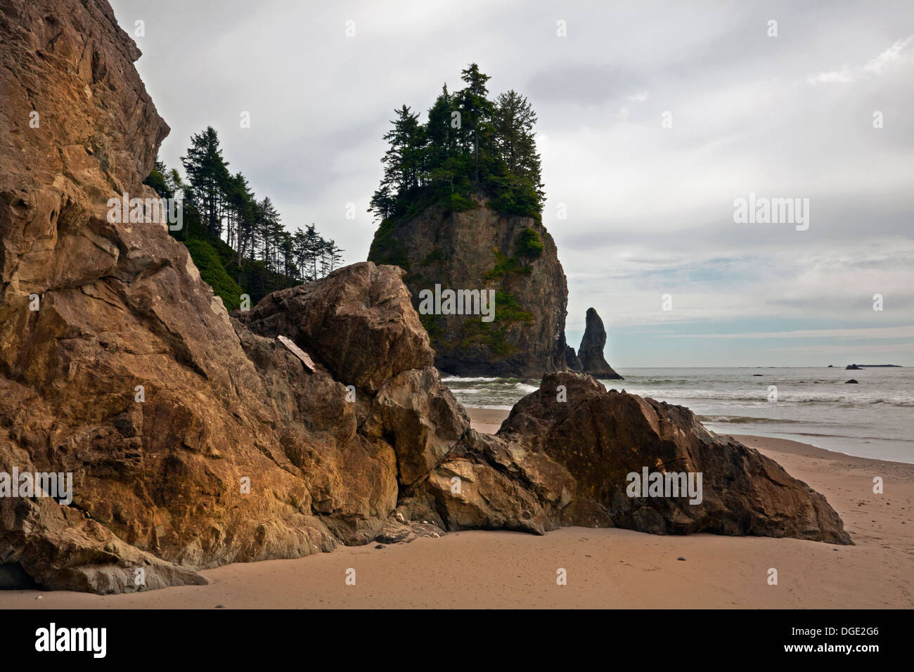 Pointe à l'extrémité sud de la plage de Mosquito Creek dans le désert de la côte du Pacifique dans le parc national Olympic. Banque D'Images
