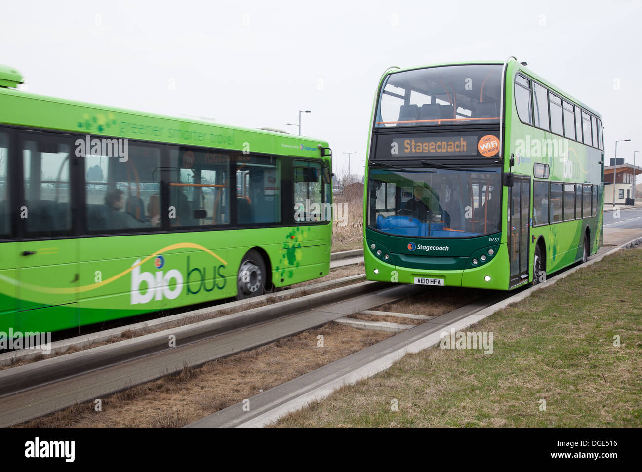 Le Cambridgeshire Busway guidé, connu localement comme le Busway, relie Cambridge, Huntingdon et St Ives dans le comté anglais de Cambridgeshire. Banque D'Images