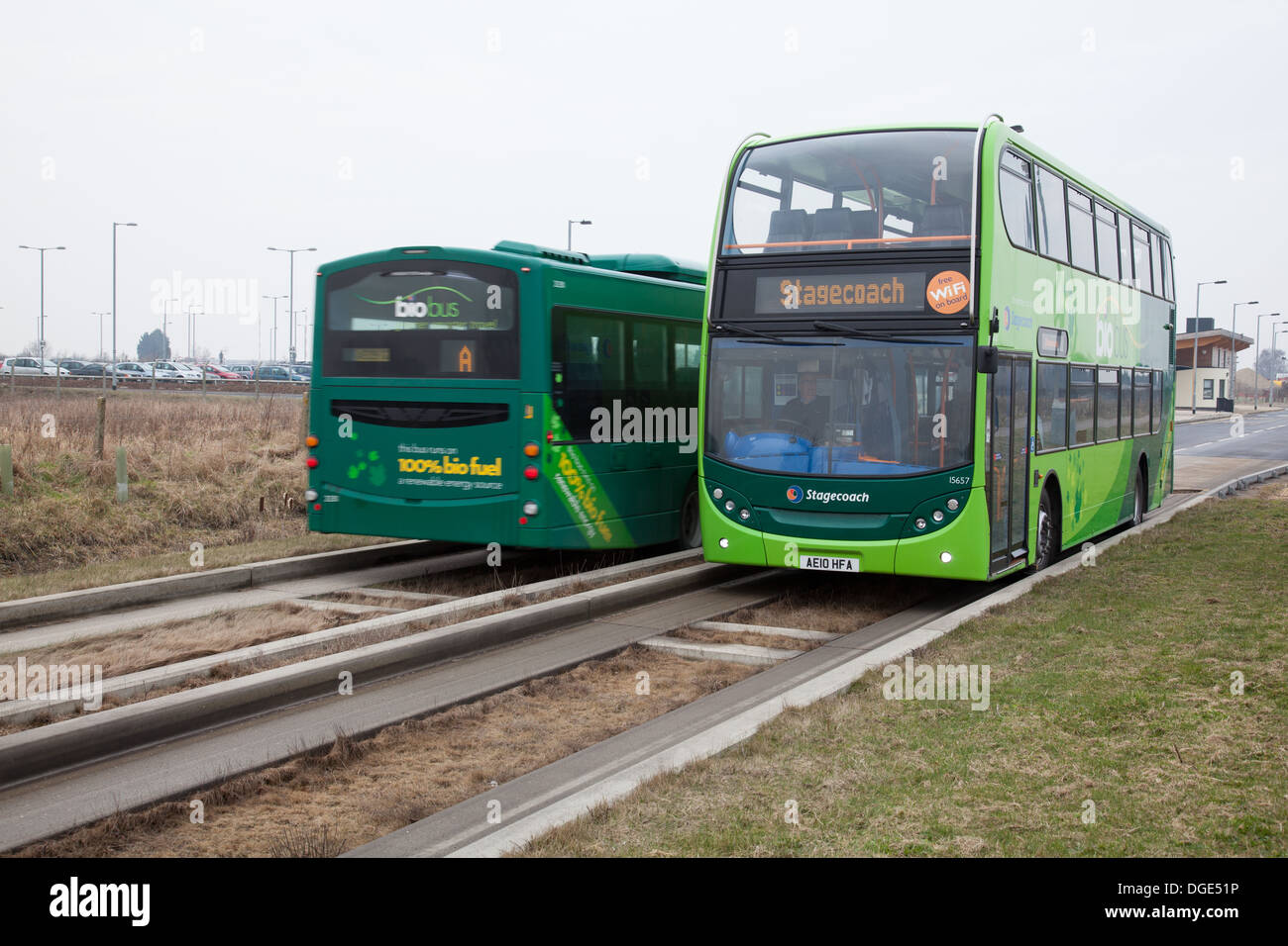Le Cambridgeshire Busway guidé, connu localement comme le Busway, relie Cambridge, Huntingdon et St Ives dans le comté anglais de Cambridgeshire. Banque D'Images