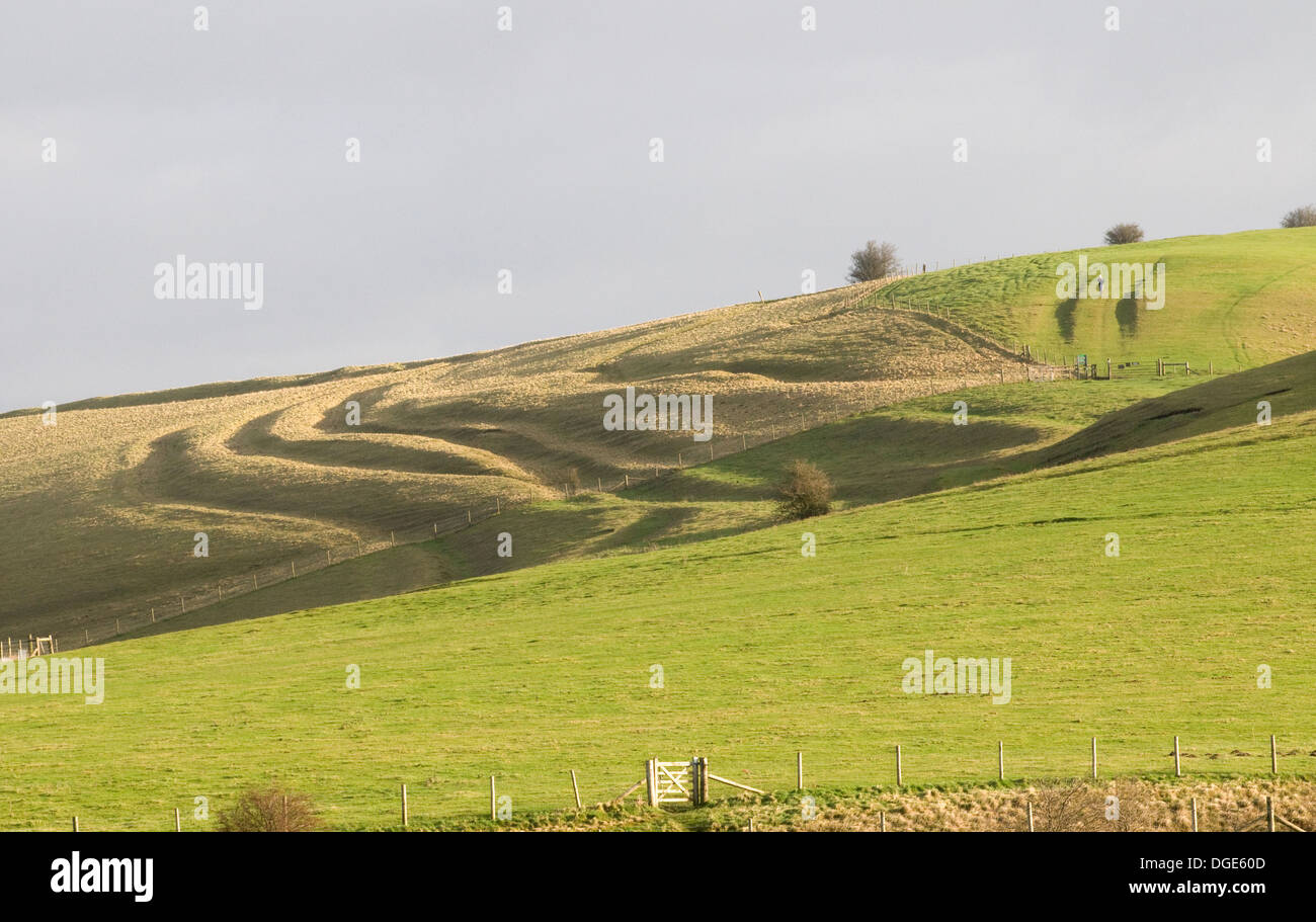 Voir l'âge de fer de terrassement près de manière Wandsdyke, Tan Hill Way et Golden Ball Hill Chalk Rolling Hills de la Marlborough Downs Banque D'Images