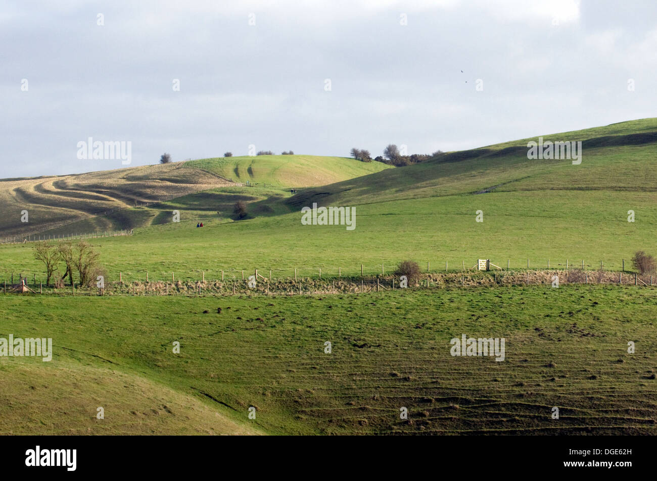 Voir l'âge de fer de terrassement près de manière Wandsdyke, Tan Hill Way et Golden Ball Hill Chalk Rolling Hills de la Marlborough Downs Banque D'Images