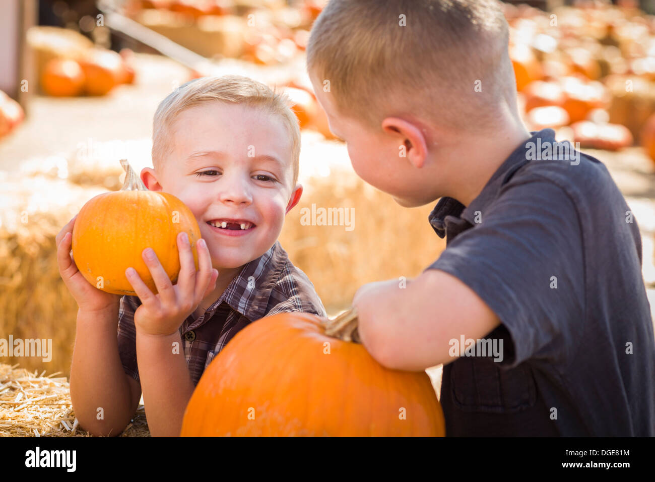 Deux garçons à la citrouille de parler de leurs citrouilles et s'amusant sur un jour d'automne. Banque D'Images