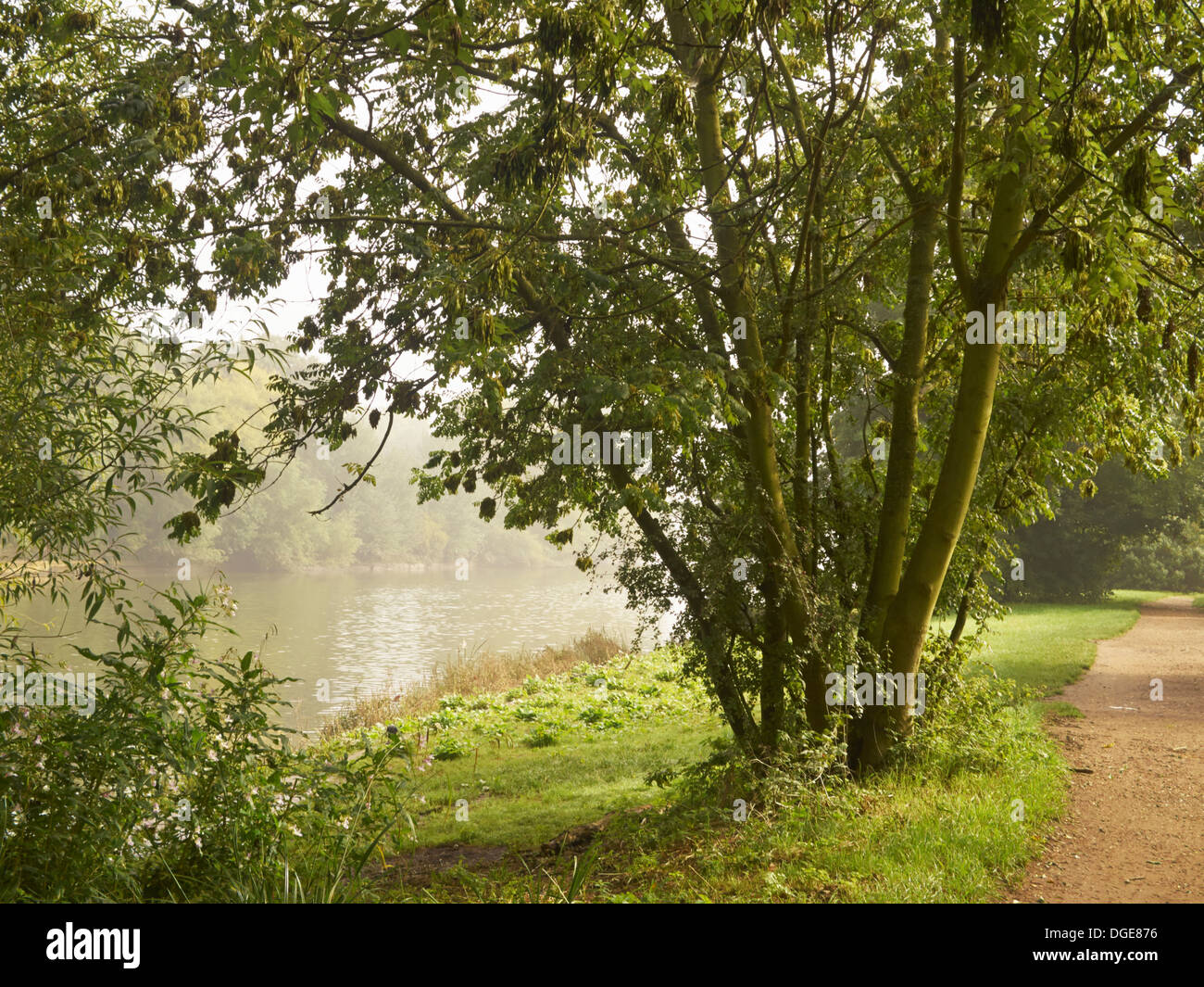 Tamise et le Thames Path, Kingston, London, England Banque D'Images