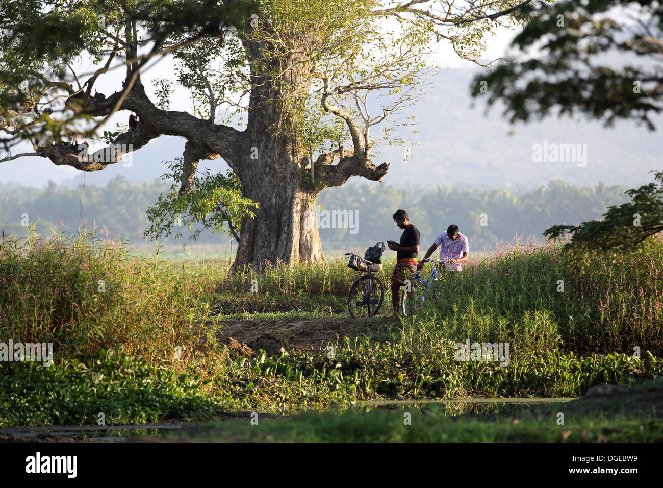 Les hommes du Sri Lanka sur les bicyclettes bénéficiant d''un moment de calme au lac Tissa à Tissamaharama, Sri Lanka Banque D'Images
