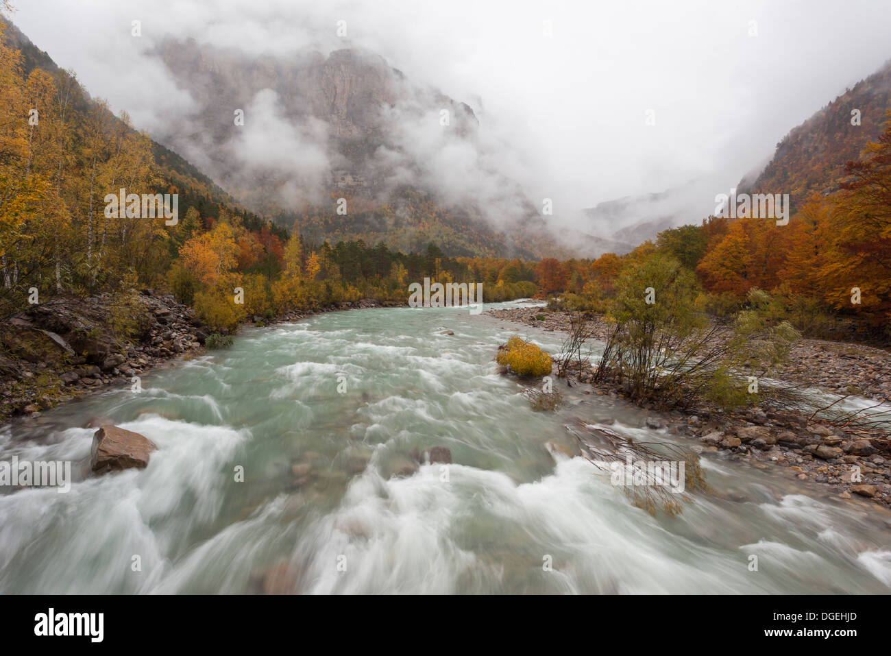 Forêt de hêtres et de la rivière arazas en automne au parc national d'Ordesa, Huesca, Aragon, Espagne, Europe Banque D'Images