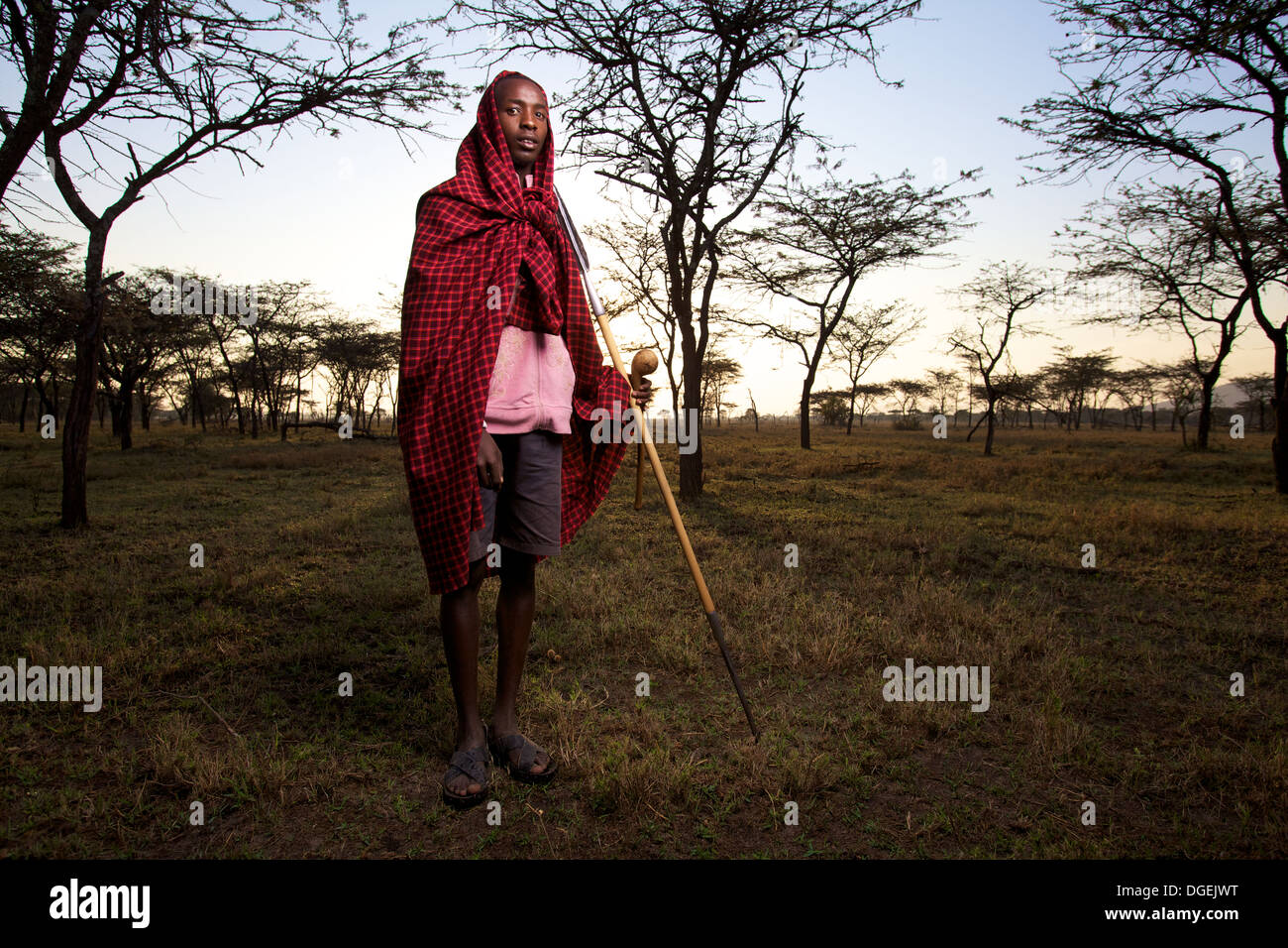 Jeune homme Massaï avec une lance à l'aube, dans la région de Mara, Kenya Banque D'Images