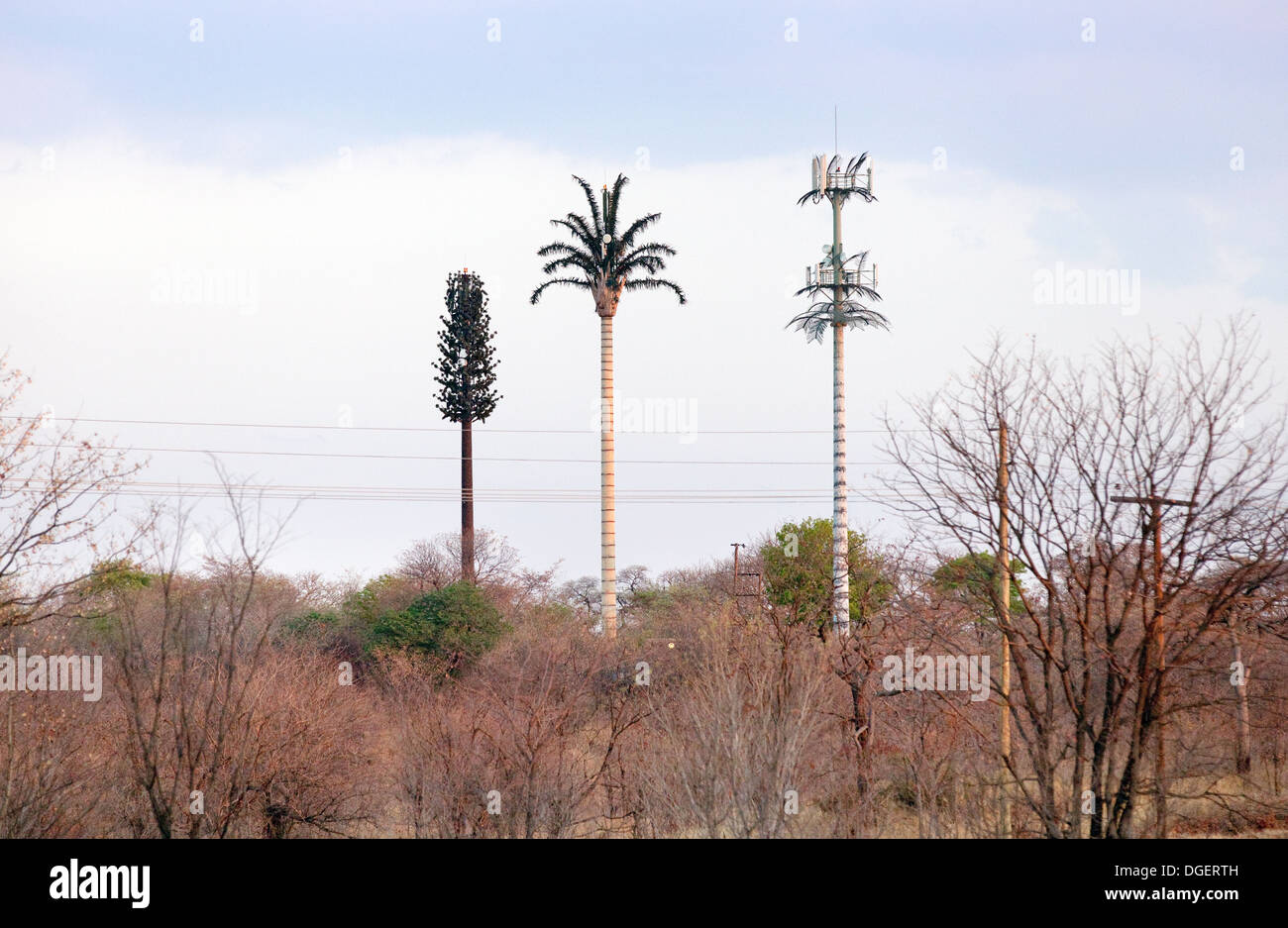 Trois mâts de téléphonie mobile déguisés en arbres dans le Parc National de Mosi oa Tunya, près de l'Afrique, Zambie Chutes Victoria Banque D'Images