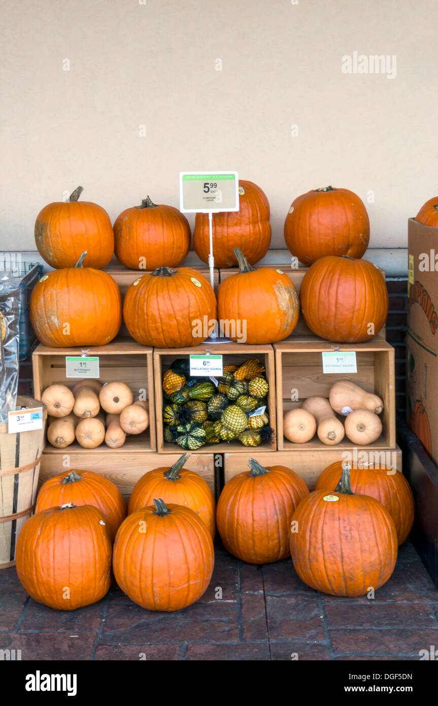 La citrouille et la courge d'hiver à l'extérieur à une épicerie Publix. Banque D'Images