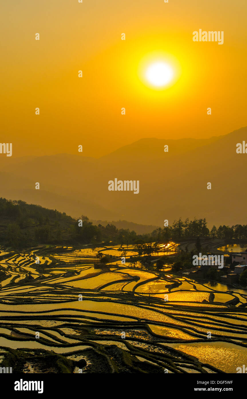 Les rizières en terrasse de Yuanyang, Yunnan, Chine Banque D'Images