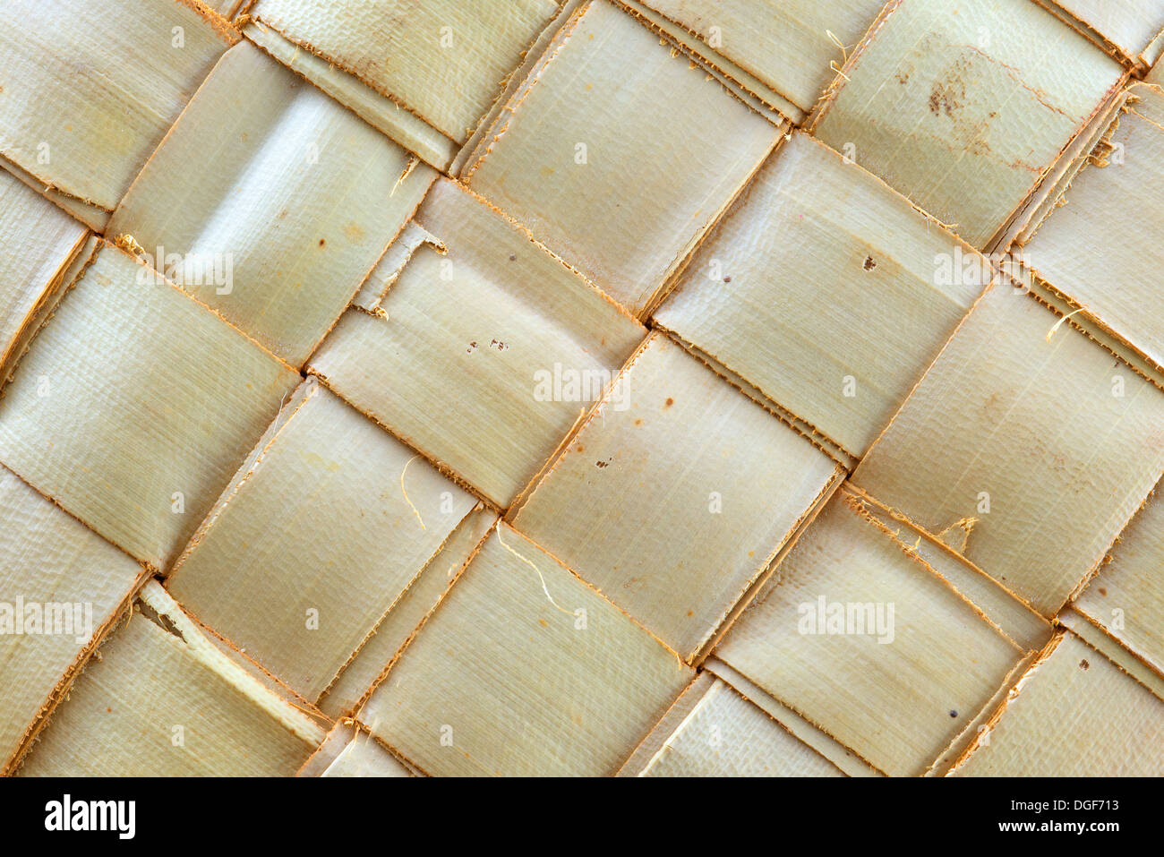 Interverrouillage zigzag de feuilles de palmier Banque D'Images