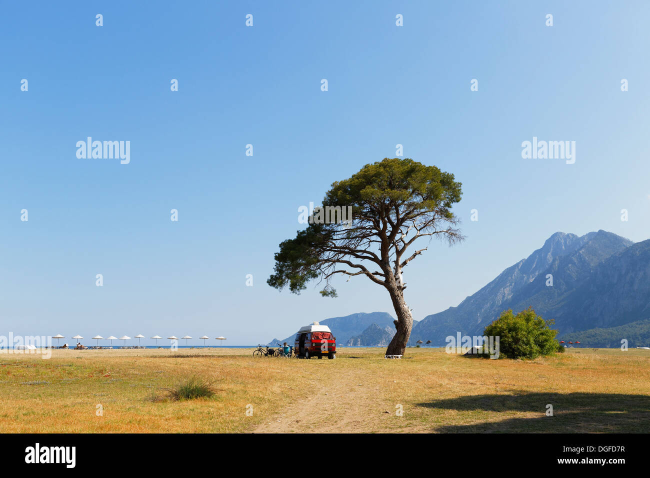 Plage d'Olympos, VW van sous un pin, Çıralı, Lycie, Province d'Antalya, Turquie Banque D'Images