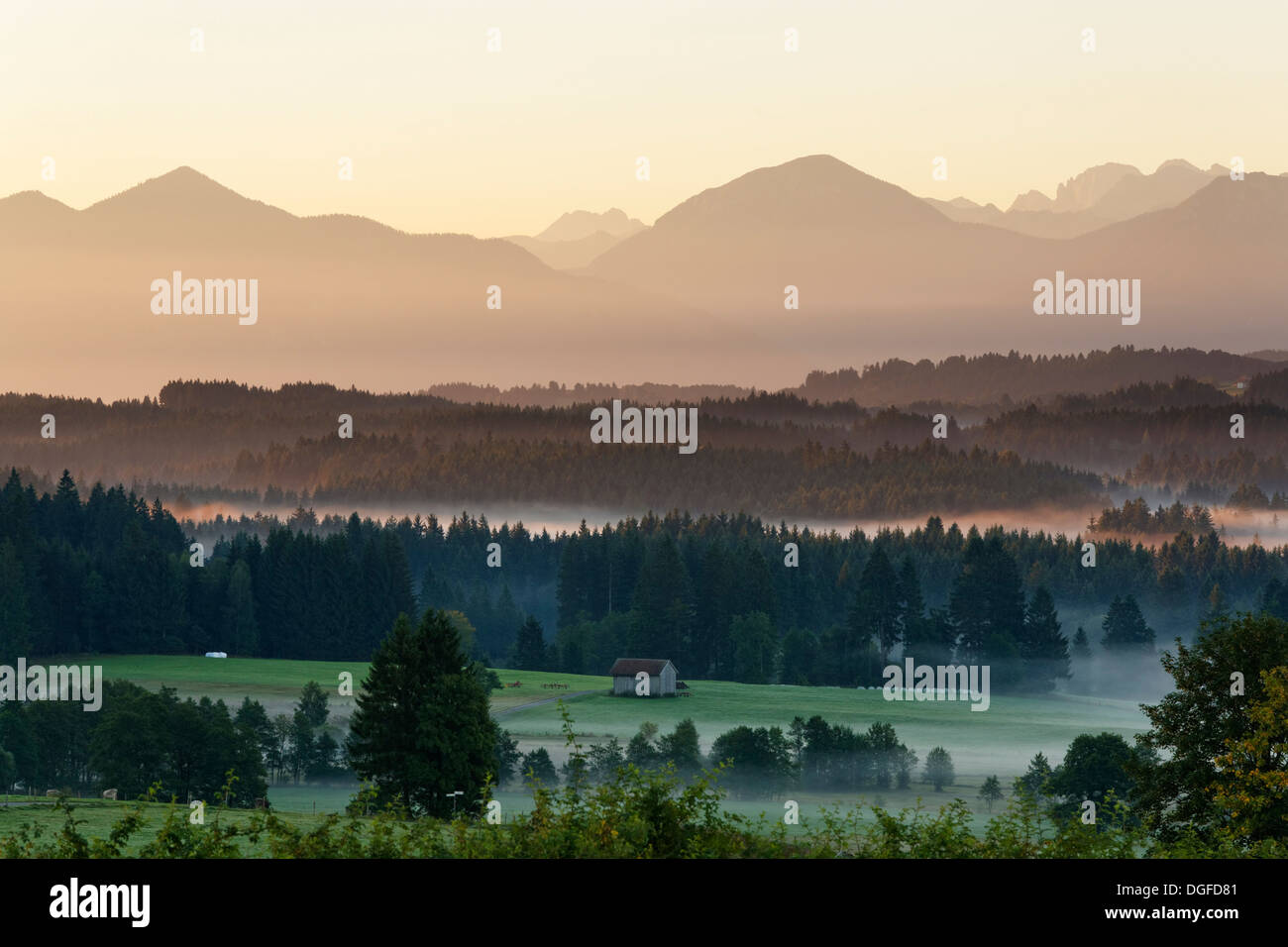 Paysage dans l'avant-pays alpin, avec l'humeur du matin brouillard, Schönberg, Rottenbuch, Pfaffenwinkel region, Haute-Bavière, Bavière Banque D'Images