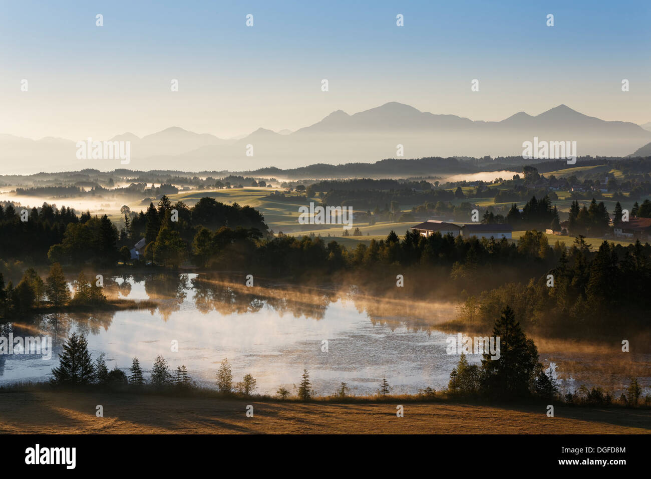 L'humeur tôt le matin sur le lac, Schwaigsee Wildsteig, Pfaffenwinkel region, Upper Bavaria, Bavaria, Germany Banque D'Images
