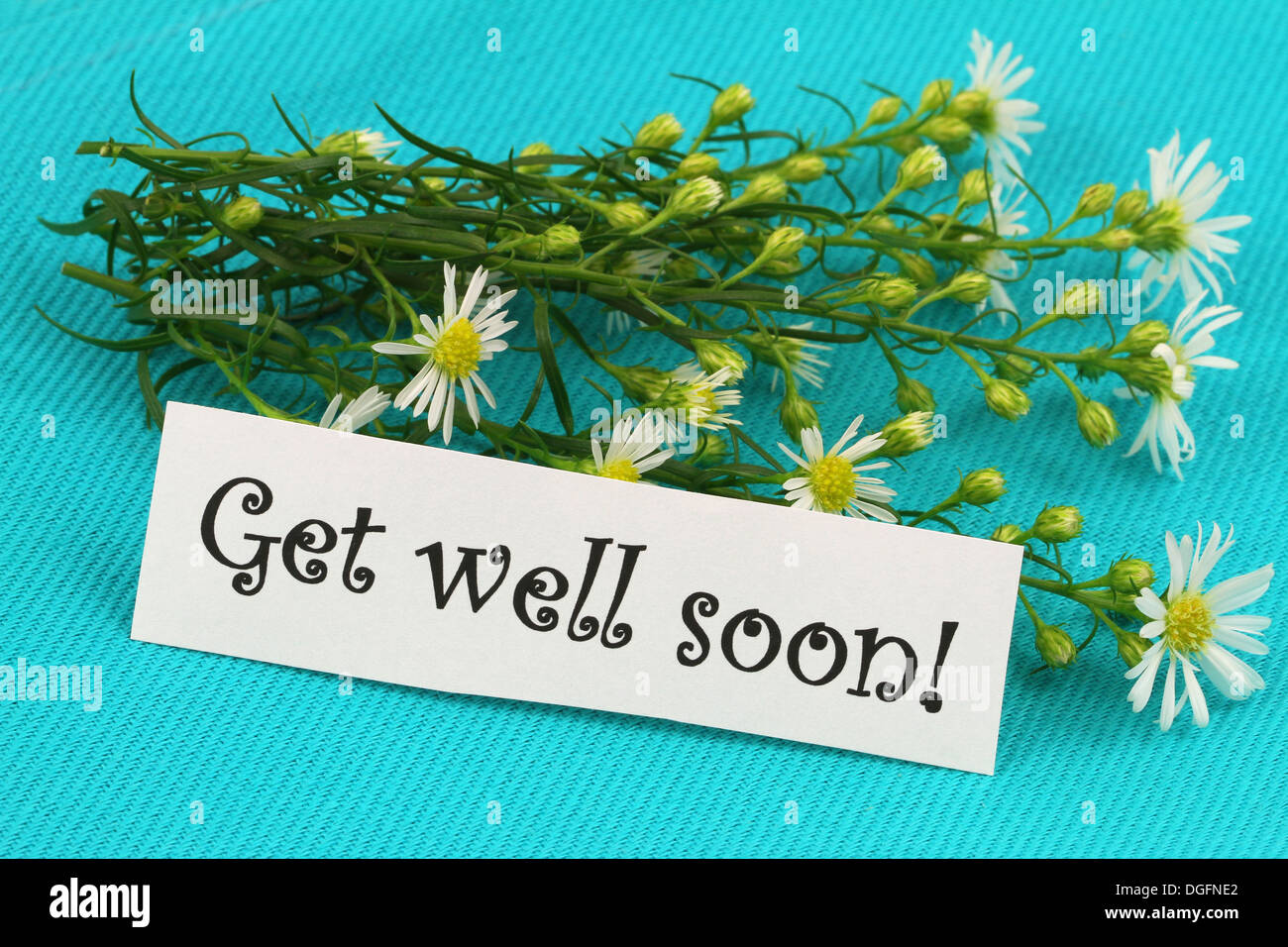 Get Well Soon carte avec fleurs de camomille fraîche sur fond bleu Banque D'Images