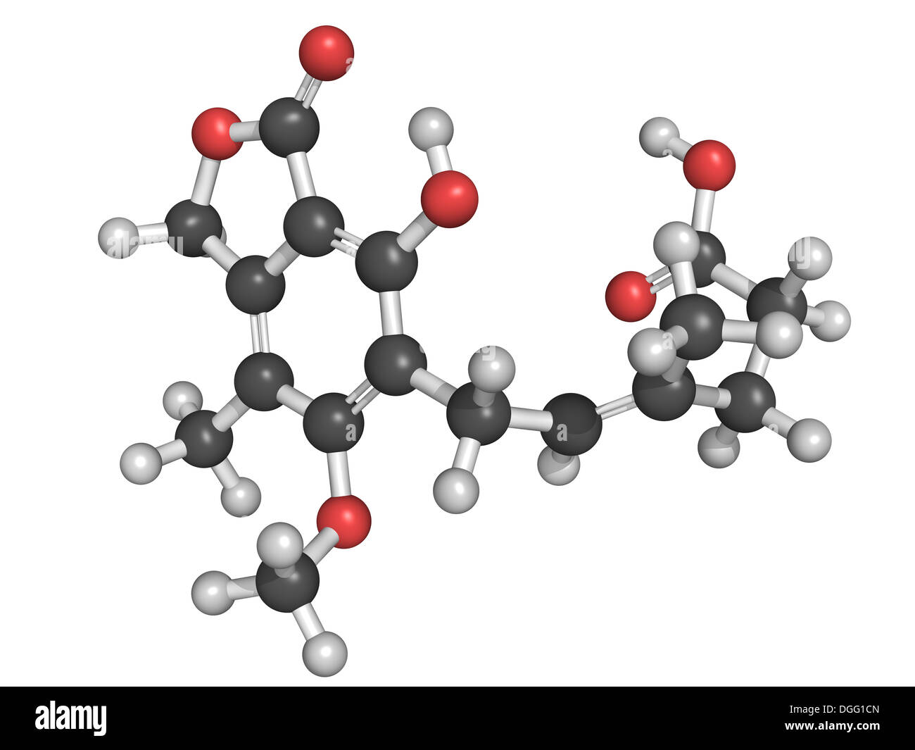 Structure de l'acide mycophénolique mycophenolate (immunosuppresseur