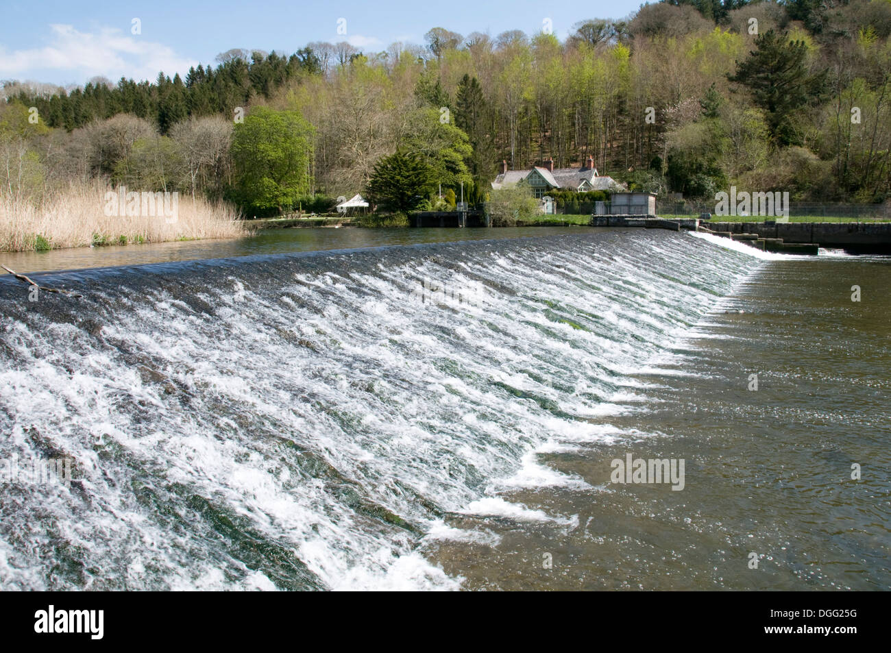 Lopwell barrage sur la rivière Tavy près de Plymouth, Devon Banque D'Images