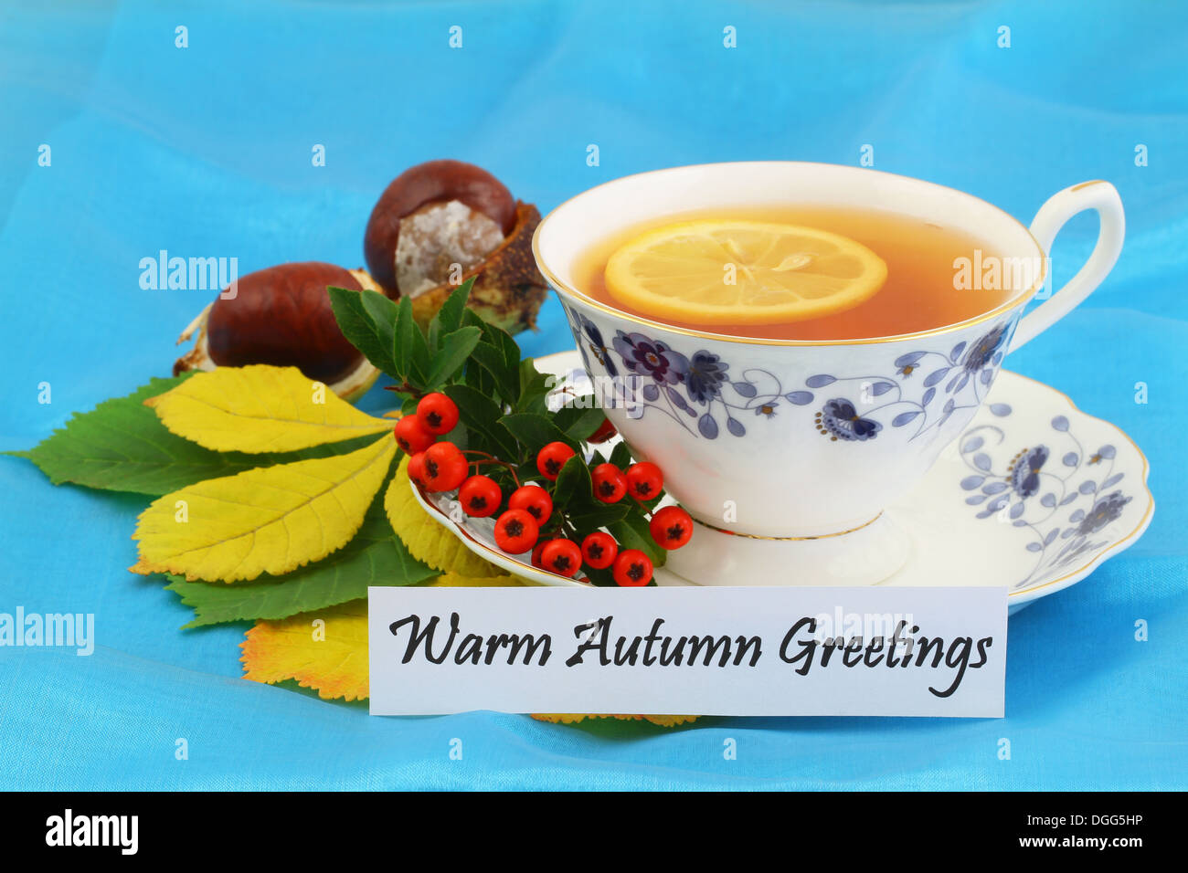 Automne chaud carte de voeux avec vintage tasse de thé, Rowan berries, châtaignes et feuilles d'automne sur fond bleu Banque D'Images