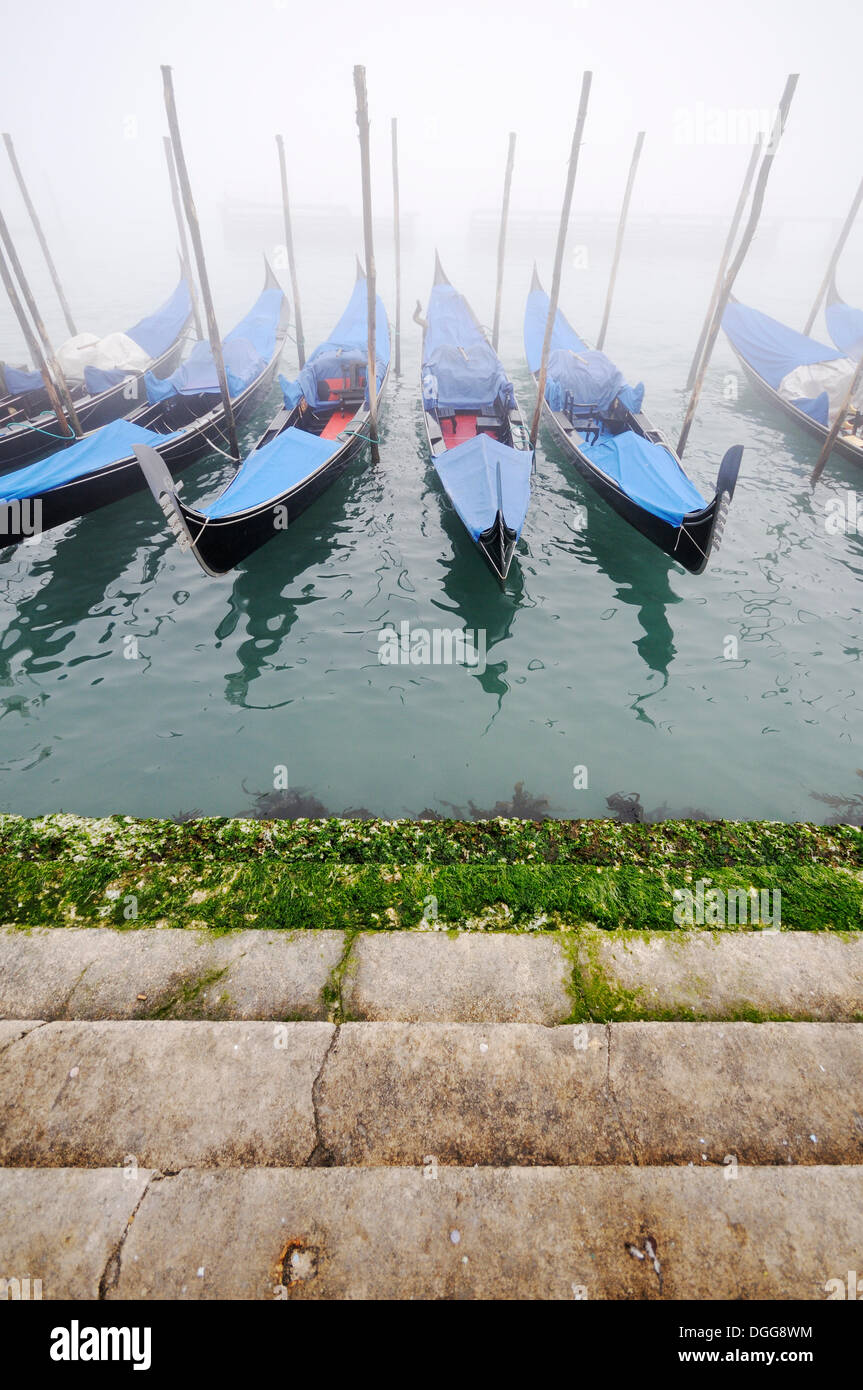 Gondoles dans le brouillard, Molo della Piazzetta, la Place Saint Marc, la Piazza San Marco, Venise, Venise, Vénétie, Italie, Europe Banque D'Images