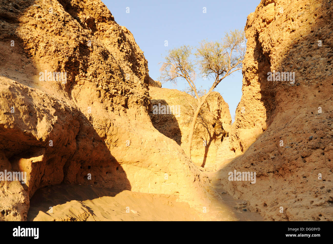 Gorge, Canyon de Sesriem, Namib-Naukluft Park-, Namibie Banque D'Images