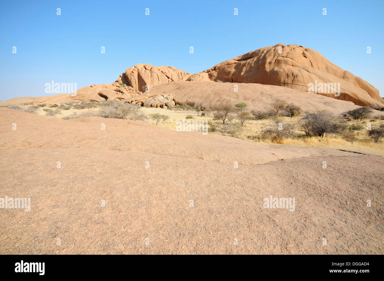 Paysage de savane avec des rochers de granit et de montagne Spitzkoppe Spitzkoppe, grosse Spitzkuppe, réserve naturelle, la Namibie Banque D'Images
