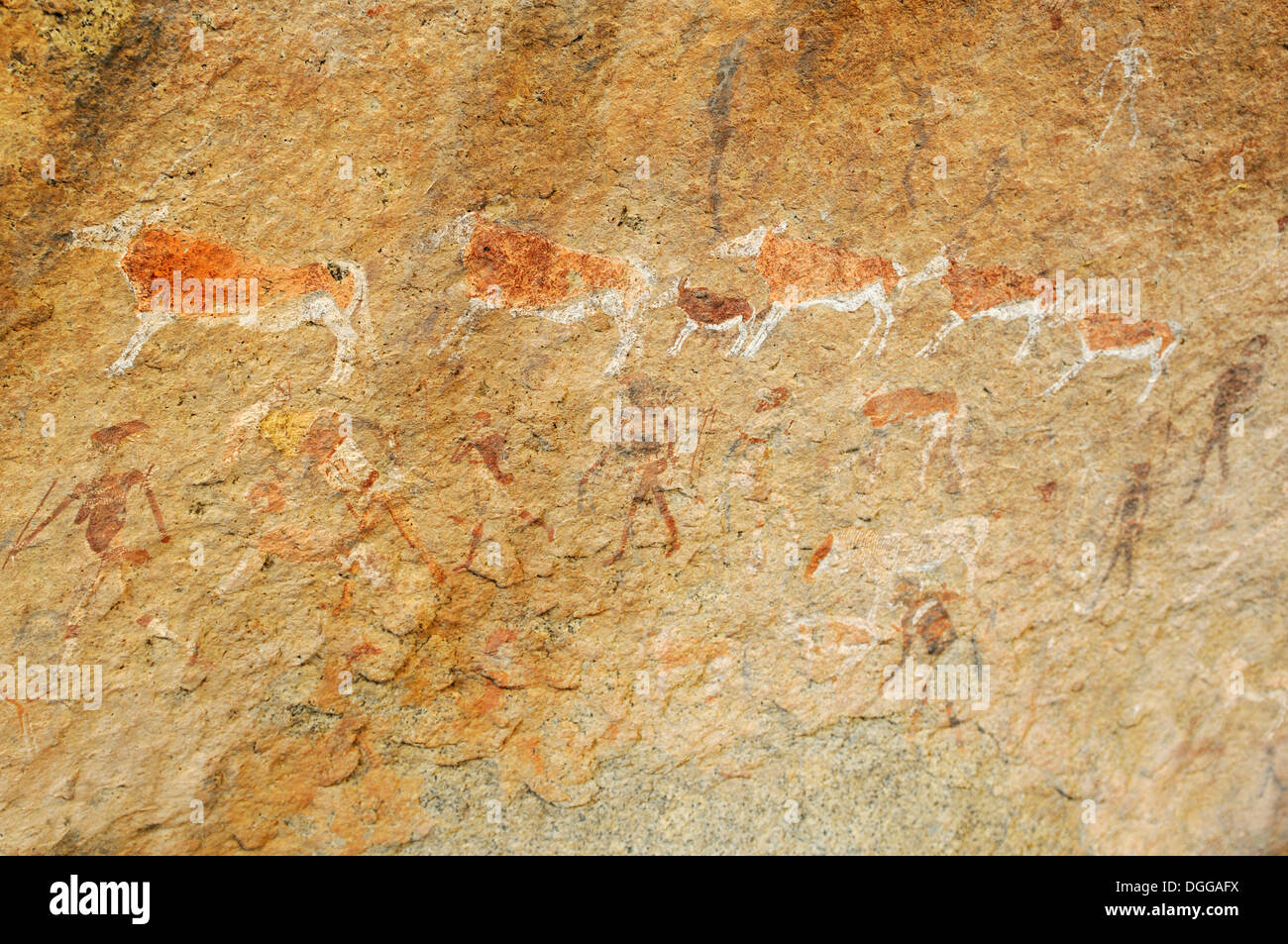 Peinture rupestre de l'homme et l'animal dans l'Tsisab Gorge, Brandberg, Damaraland, Namibie, région de Kunene Banque D'Images