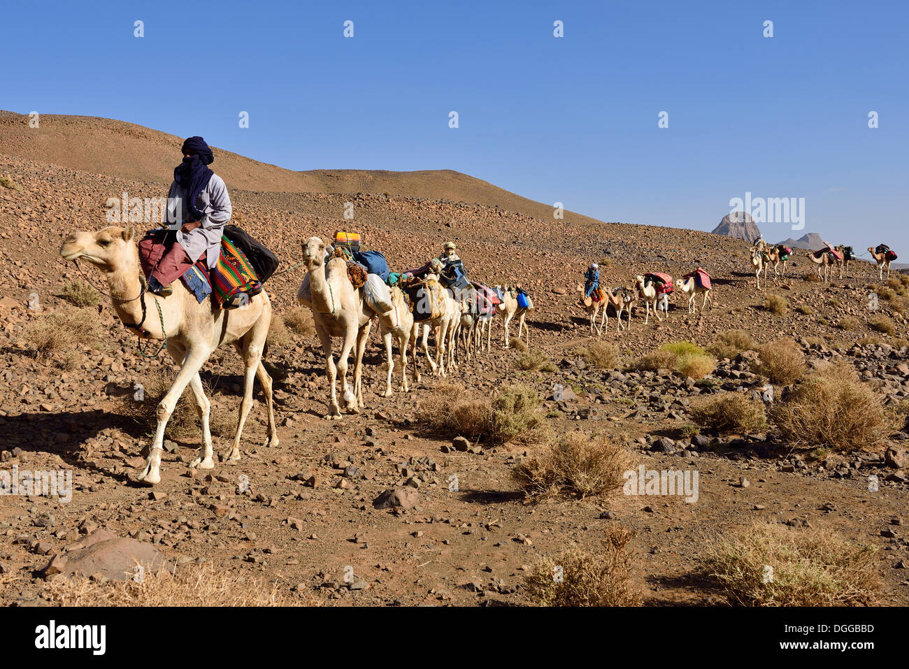 Les hommes touareg, caravane de chameaux, Sahara, Atakor, Hoggar Gebirge, Tamanrasset, Algérie Province Banque D'Images