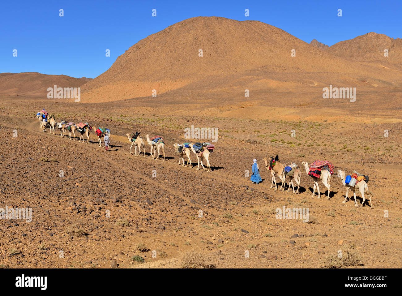 Les hommes touareg, caravane de chameaux, Sahara, Atakor, Hoggar Gebirge, Tamanrasset, Algérie Province Banque D'Images