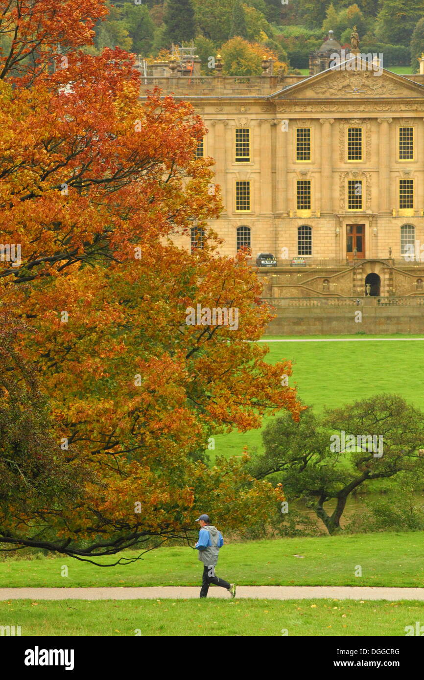 Le Derbyshire, Royaume-Uni. 21 octobre 2013. Un jogger braves fortes pluies qu'il balaie le domaine de Chatsworth automnales du parc dans le parc national de Peak District. Credit : Matthew Taylor/Alamy Live News Banque D'Images