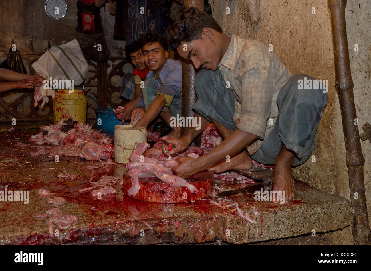 L'abattage du poulet dans le marché du poulet à Kolkata, Inde, Asie Banque D'Images