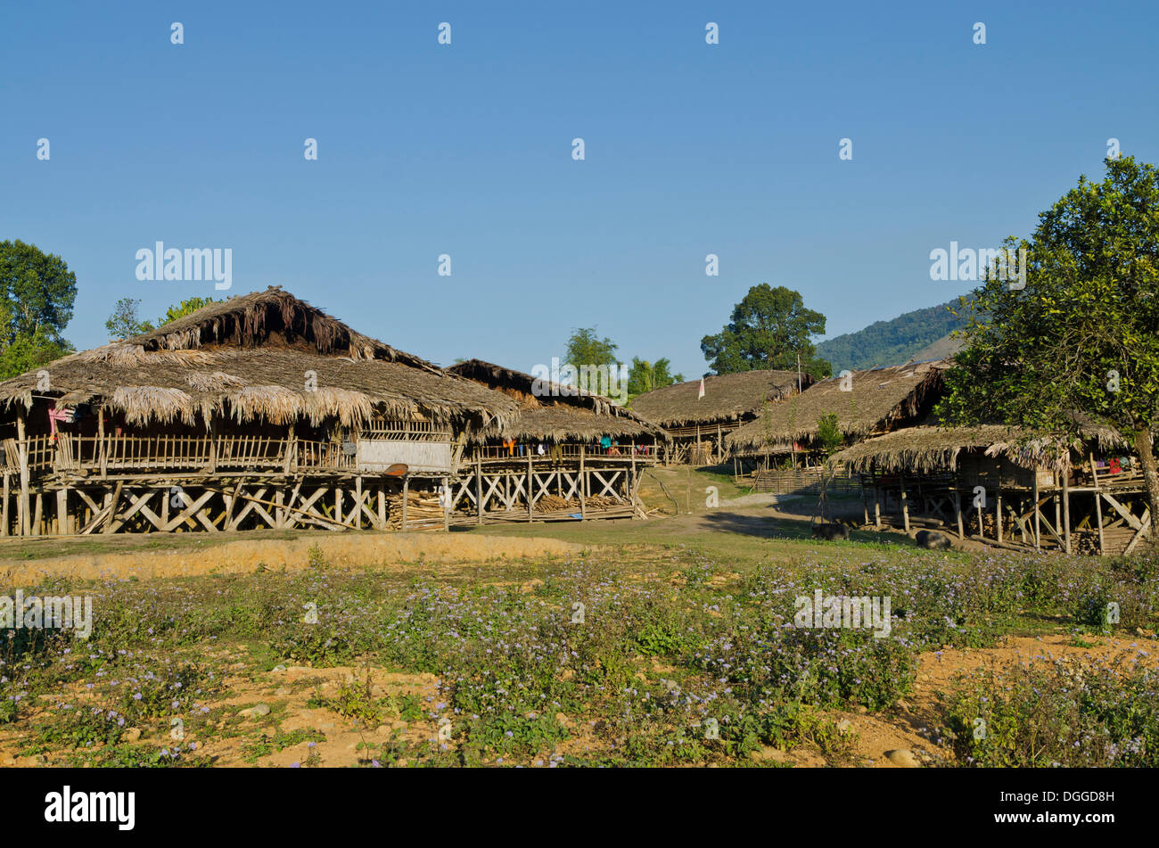 Village typique structure de la tribu gallo Adi dans les collines de l'Arunachal Pradesh, Inde, Village Angu Asie Banque D'Images