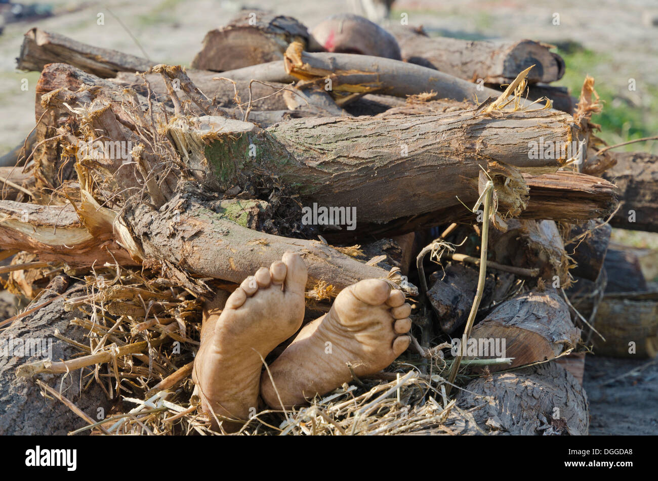 Mettre un corps mort sur le bois de chauffe sur les bords de la rivière Yamuna dans le cadre d'une cérémonie de crémation, Vrindavan, Inde, Asie Banque D'Images