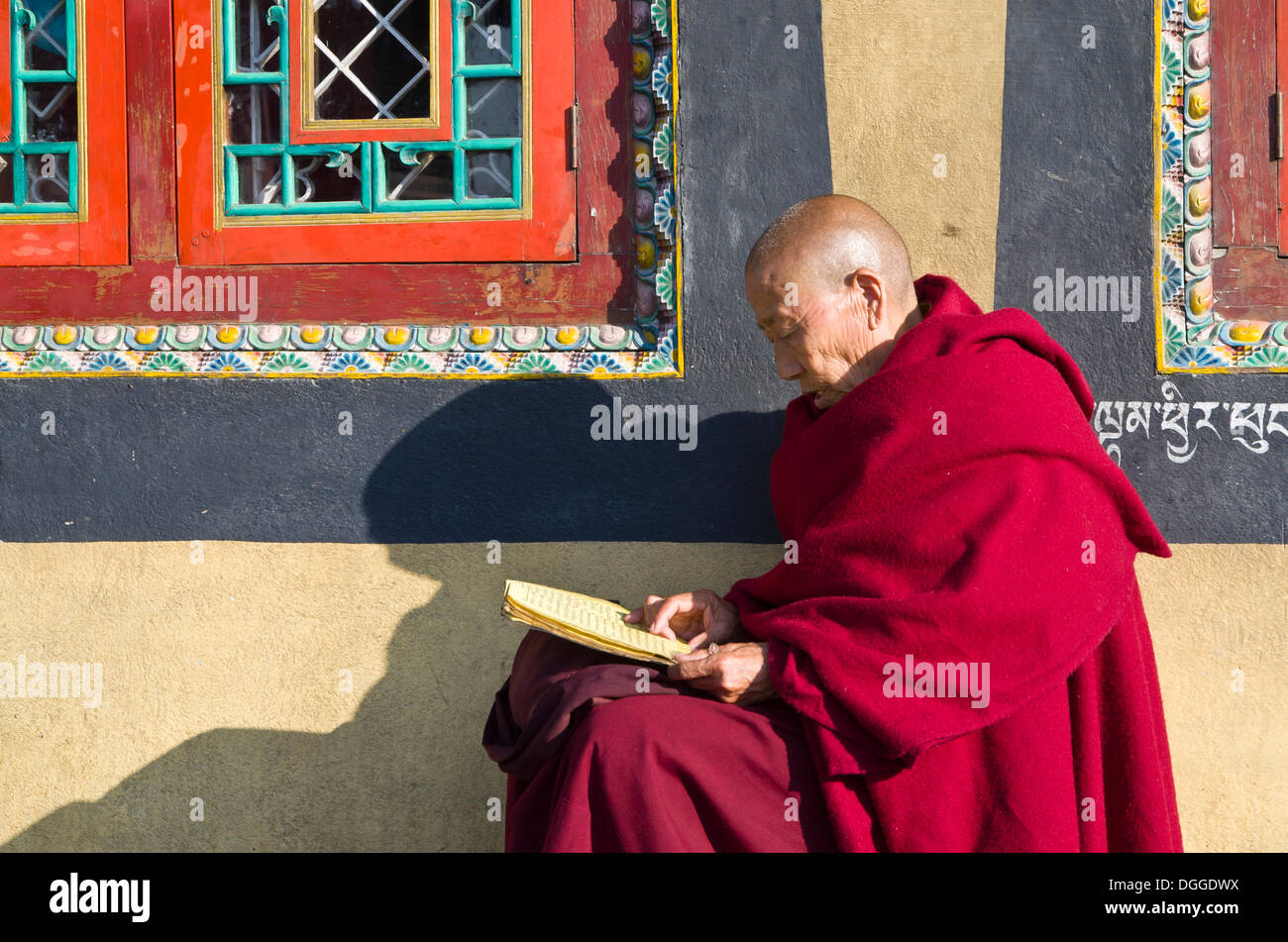 Moine tibétain lire les Saintes écritures au pied du stupa, Boudnath Vallée de Katmandou, Katmandou, district de Katmandou Banque D'Images