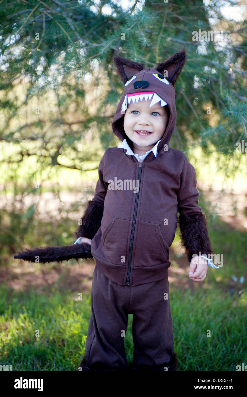 Enfant de sexe masculin dans les bois habillés en costume de loup Banque D'Images