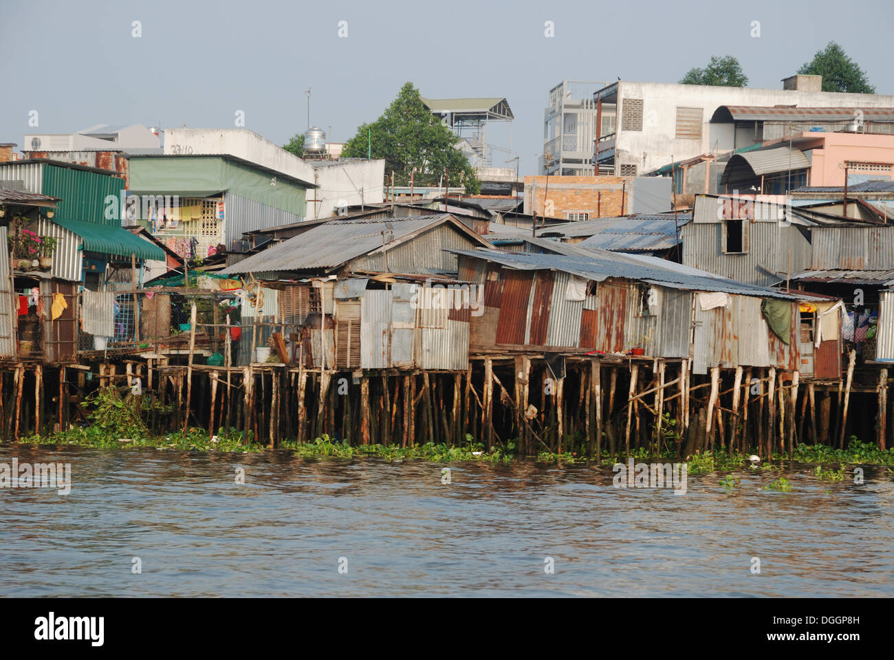 Maisons sur pilotis au bord de la rivière du Mékong à Can Tho, Delta du Mékong, Vietnam. Banque D'Images