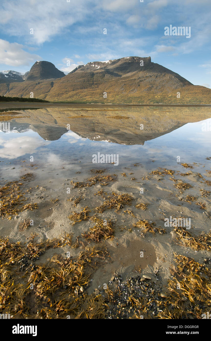 Dans les montagnes fjord durant la marée basse au lever du soleil, Skibotn, fjord Lyngen, Troms County, Laponie, Norvège du Nord, septembre Banque D'Images