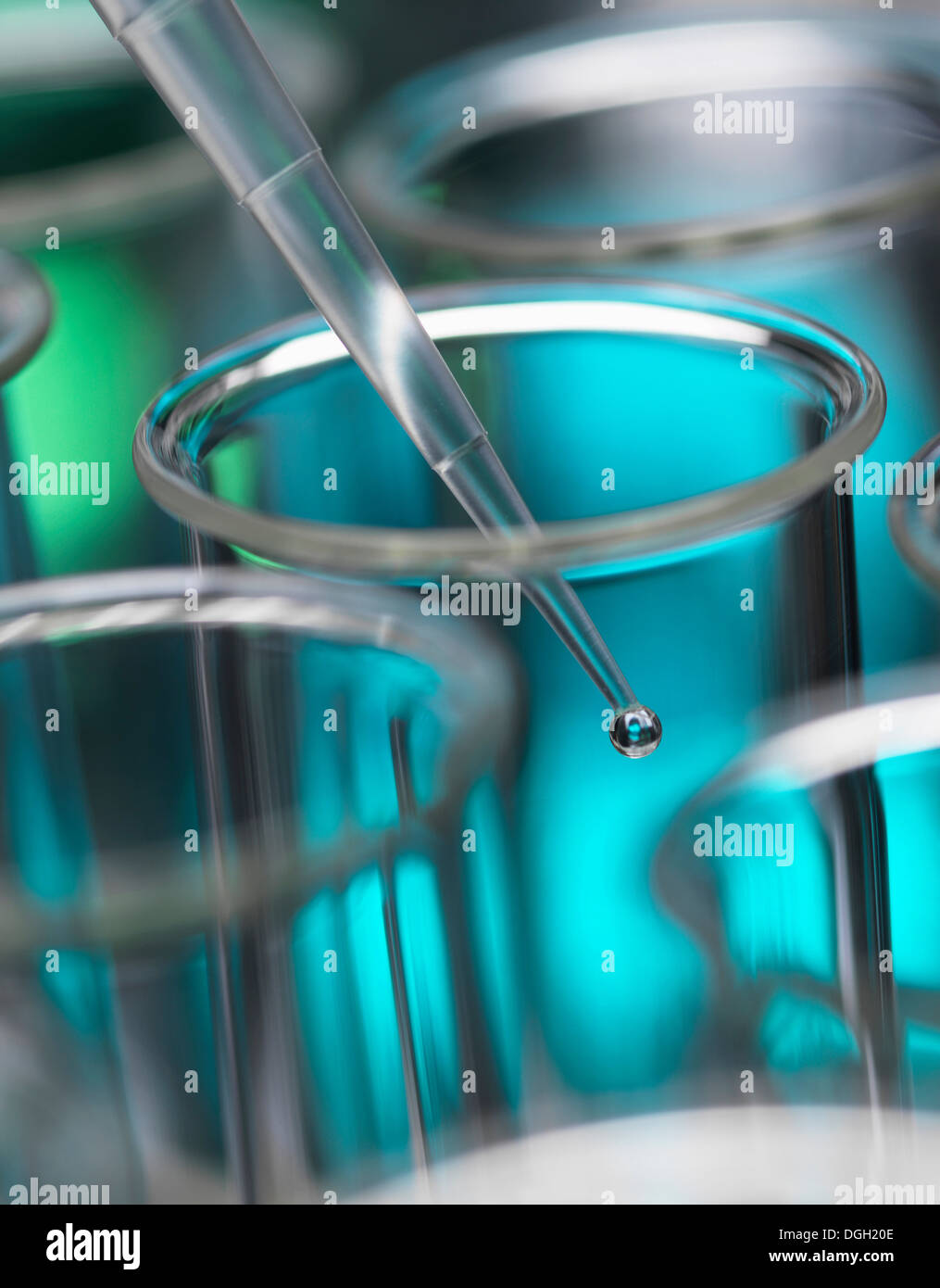 La chimie analytique - de l'échantillon à la pipette dans tube à essai pour analyse en laboratoire Banque D'Images
