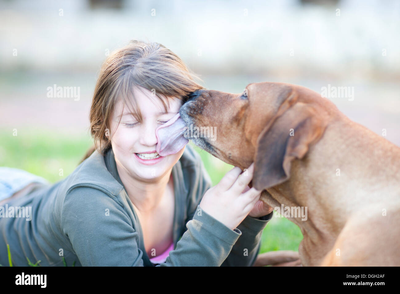 Chien de lécher le visage de fille Banque D'Images