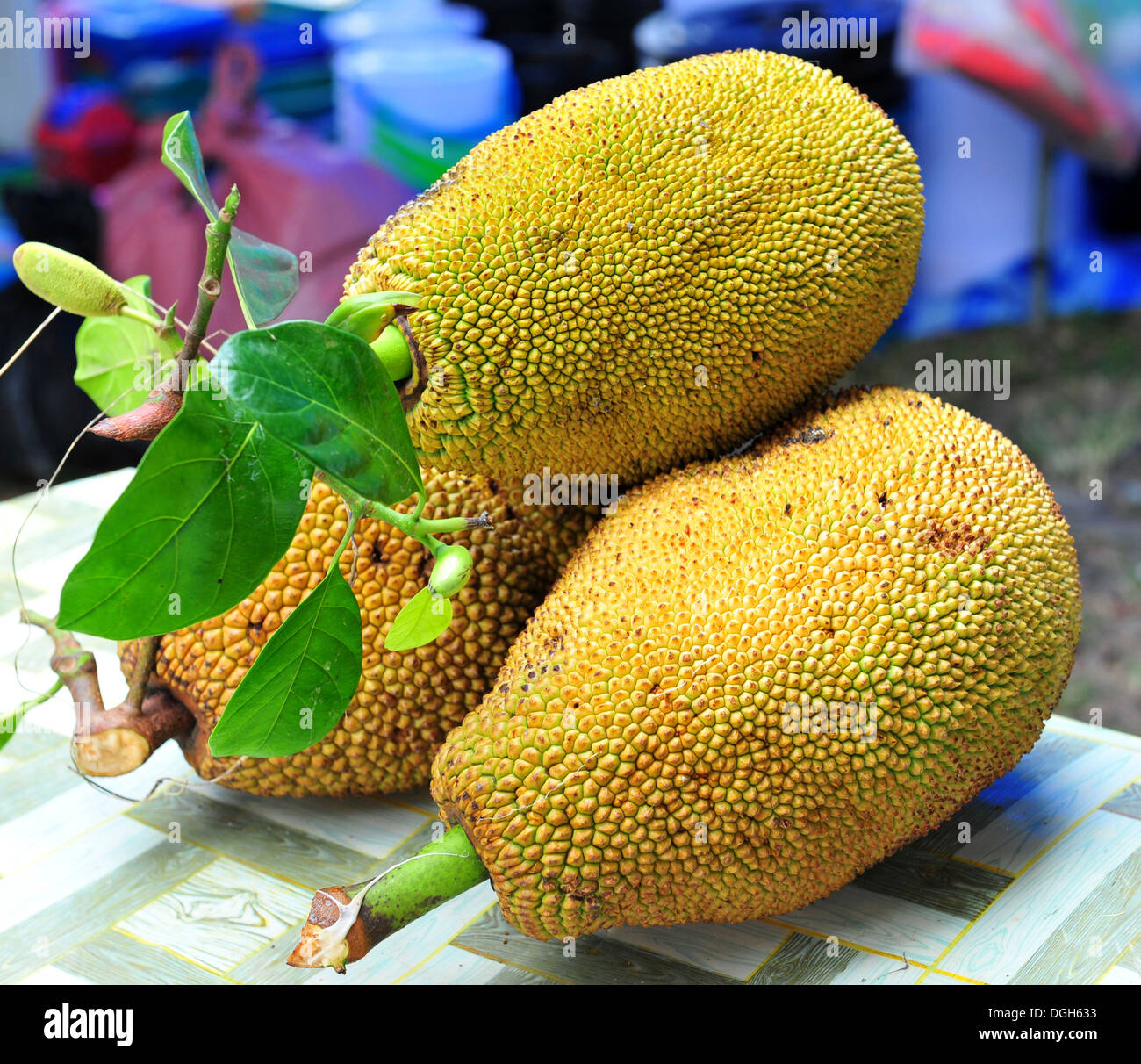 Fruits de Thailande - Jaque (Ka-midi) Banque D'Images