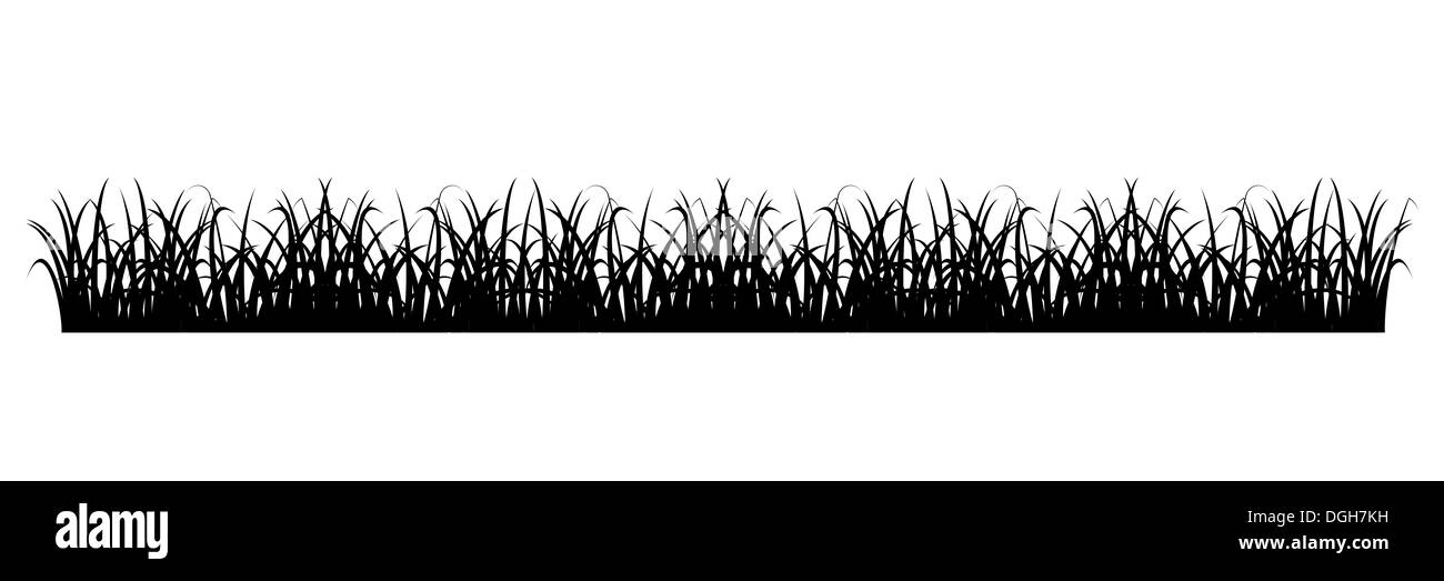 Grass silhouette - élément de conception. Vecteur EPS10. Banque D'Images