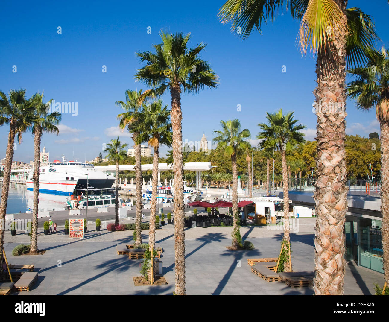 Palmiers dans le développement du nouveau port Muelle Uno à Malaga, Espagne Banque D'Images