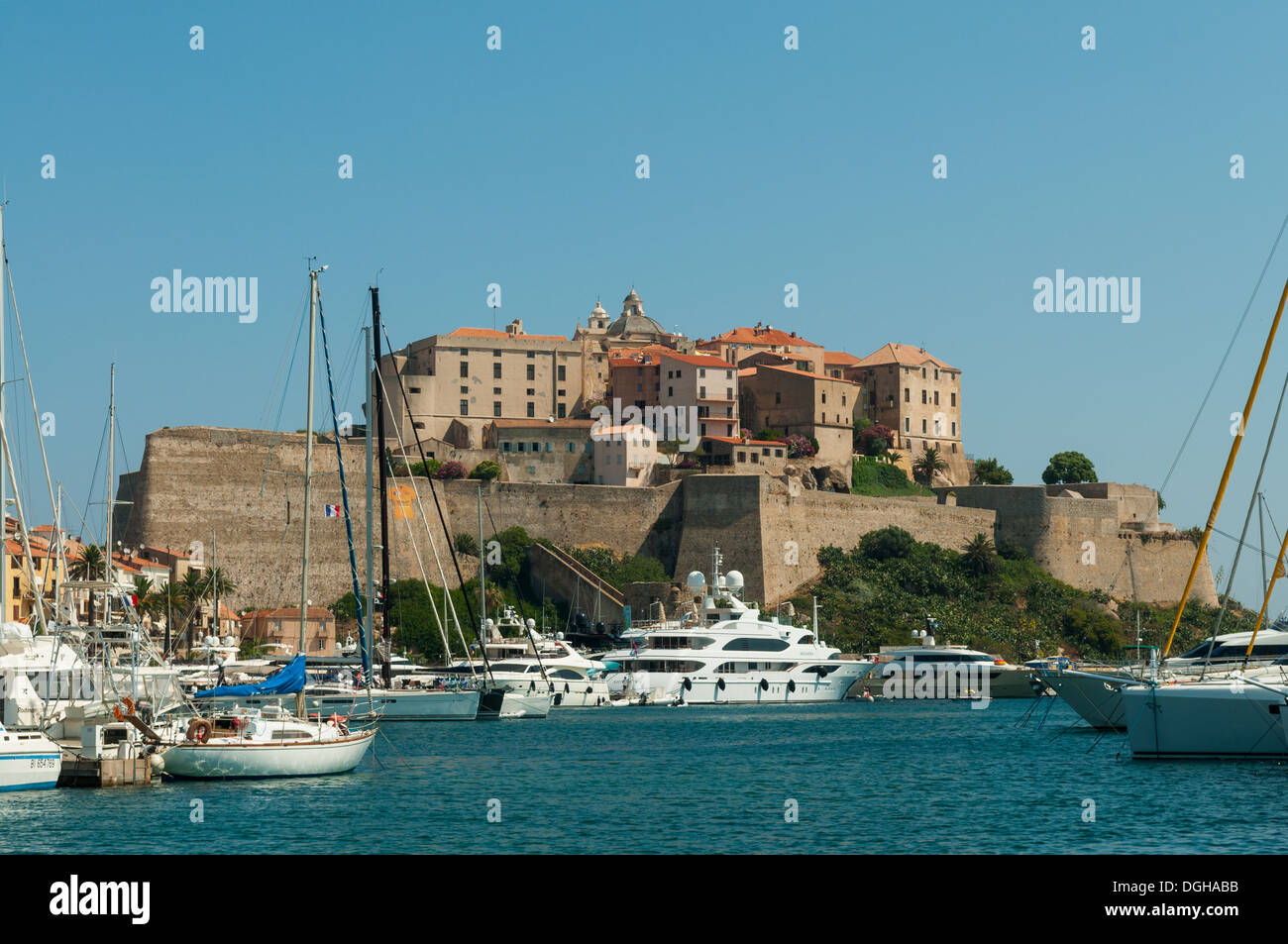 Port de plaisance et de la Citadelle, Calvi, Haute Corse, France Banque D'Images