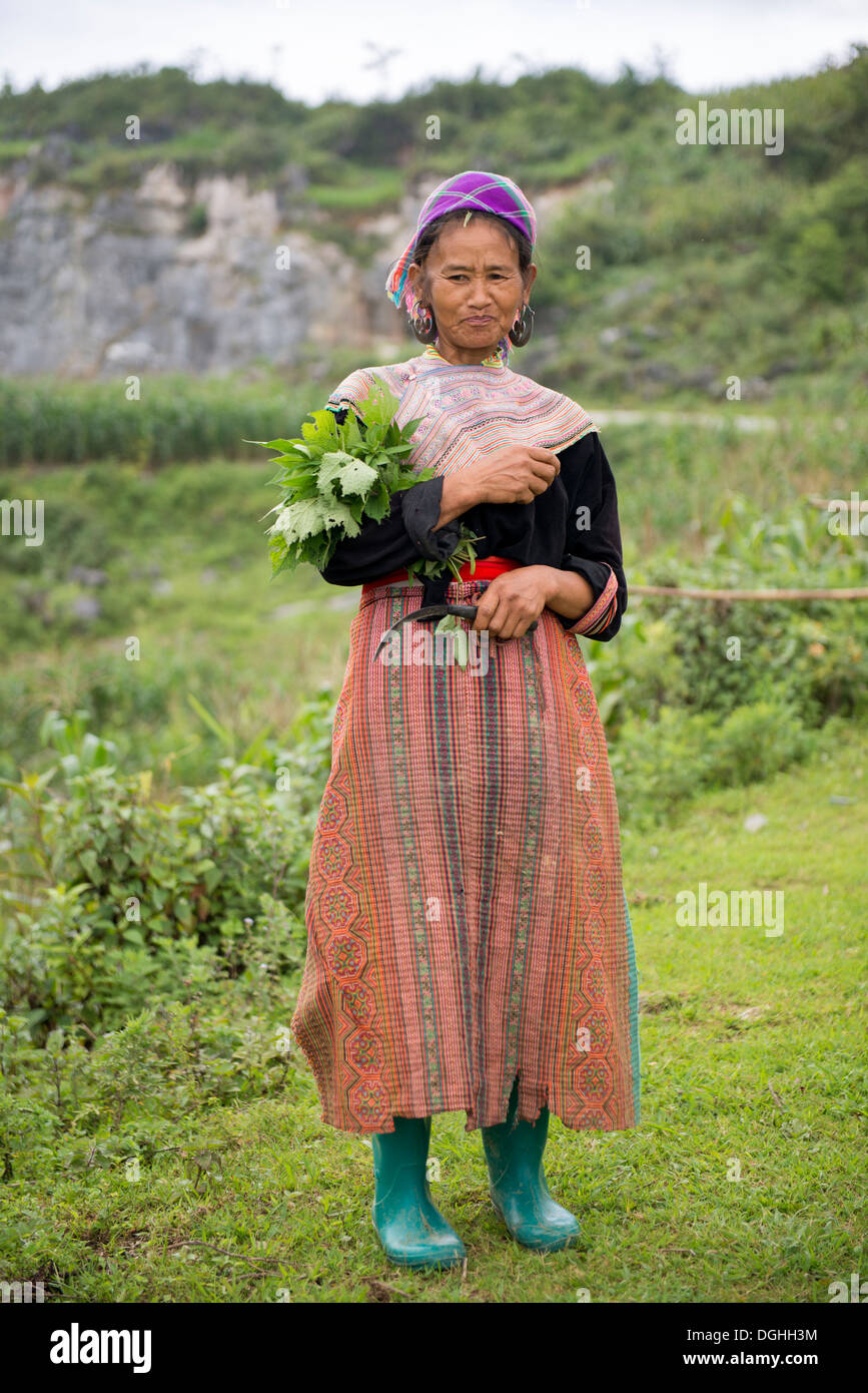 Femme Hmong Fleur minoritaires dans la colline, Bac Ha, Lao Cai, Vietnam Banque D'Images