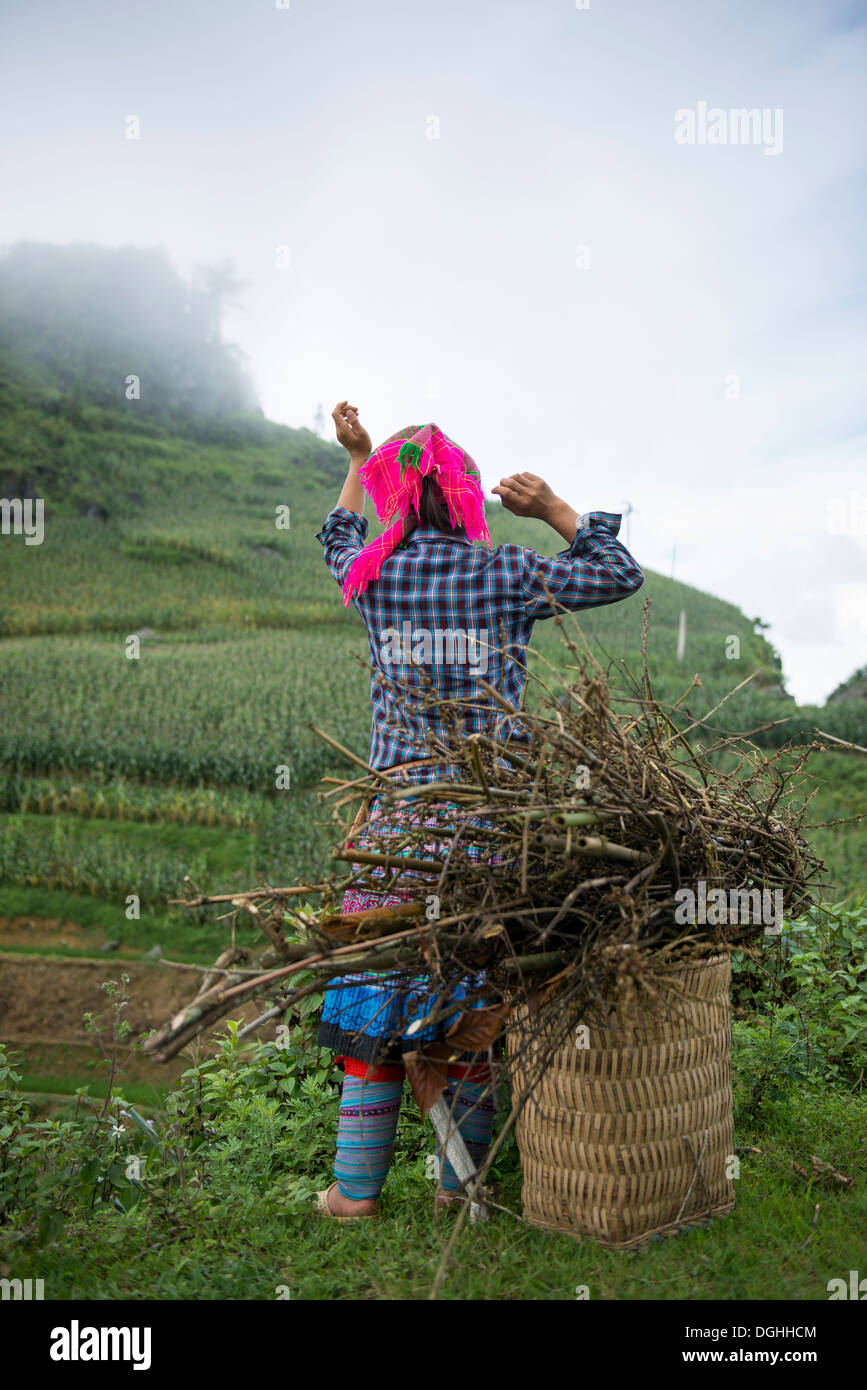 Groupe de la minorité Hmong Fleurs femme avec panier de bois de chauffage, Bac Ha, Lao Cai, Vietnam Banque D'Images