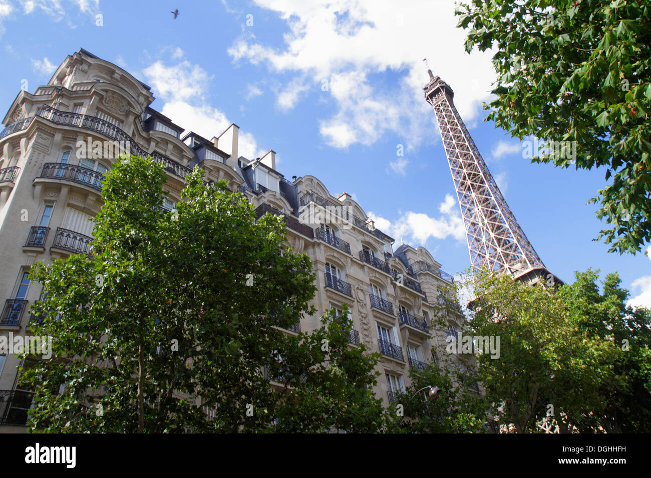 Paris France,7ème arrondissement,Avenue de Suffren,Tour Eiffel,Haussman condominium,résidentiel,appartement,appartements,appartement,immeuble,France130819133 Banque D'Images