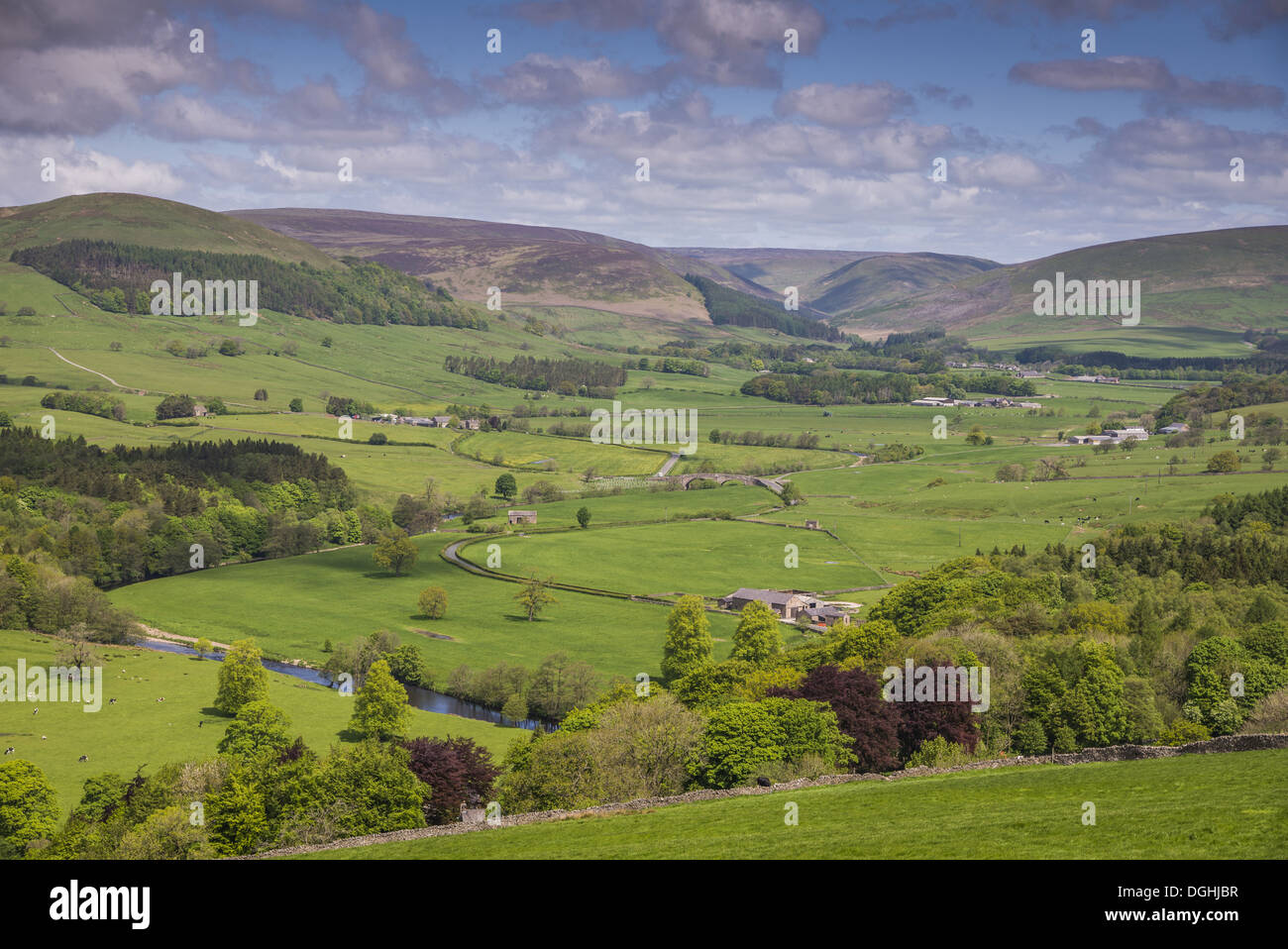 Voir l'ensemble du paysage de la vallée avec rivière, River Hodder, Hodder, vallée de la forêt de Bowland, Lancashire, Angleterre, juin Banque D'Images