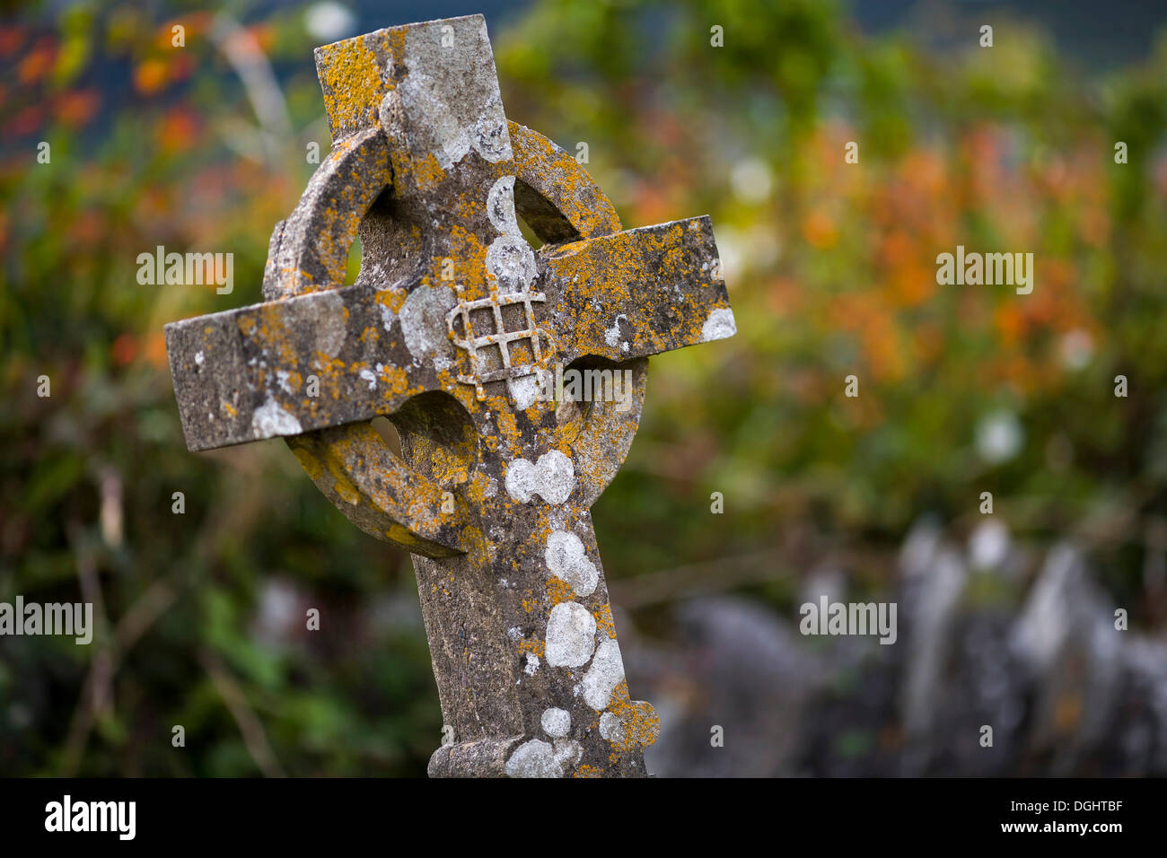 Croix celtique à l'abbaye de Ballinskelligs, Ring of Kerry, Ireland, Iveragh, comté de Kerry, Irlande Banque D'Images