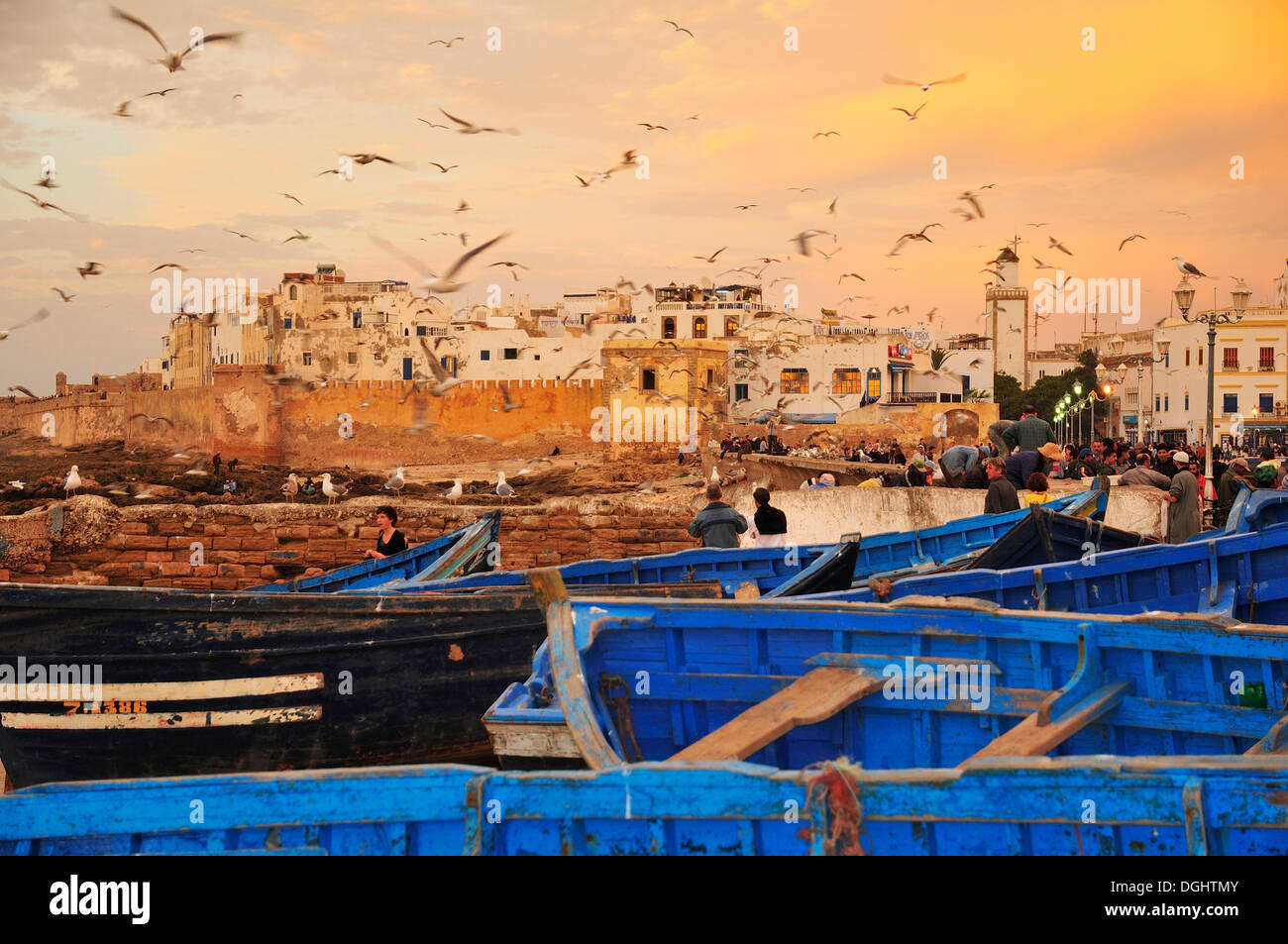Donnant sur le centre-ville historique d'Essaouira, Maroc, Afrique Banque D'Images