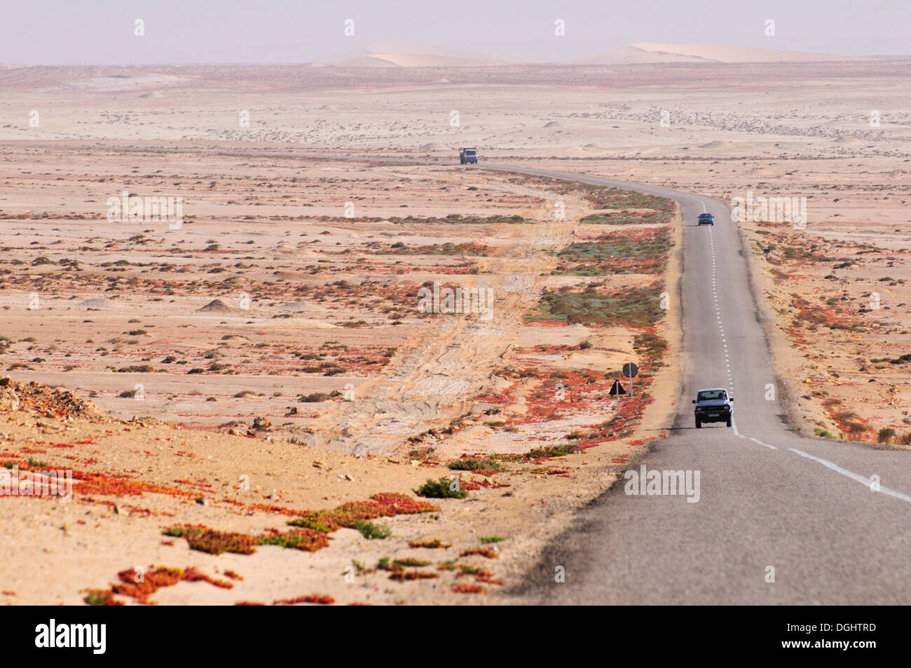 Route de campagne asphaltée au Sahara Occidental, vers la Mauritanie, Oued Ed-Dahab-Lagouira région, Maroc Banque D'Images