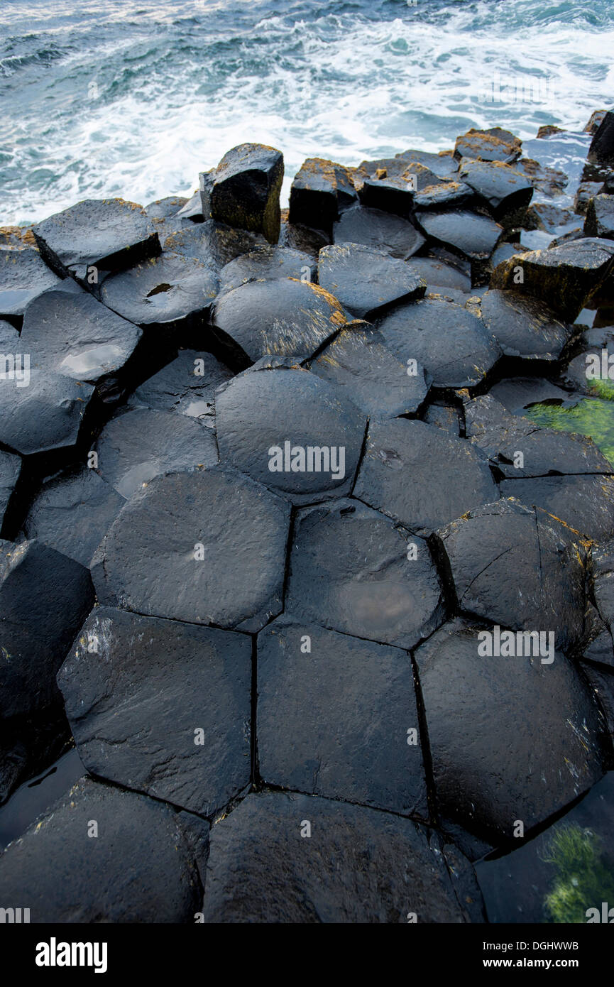 Les roches basaltiques, Giant's Causeway, Coleraine, en Irlande du Nord, Royaume-Uni, Europe Banque D'Images