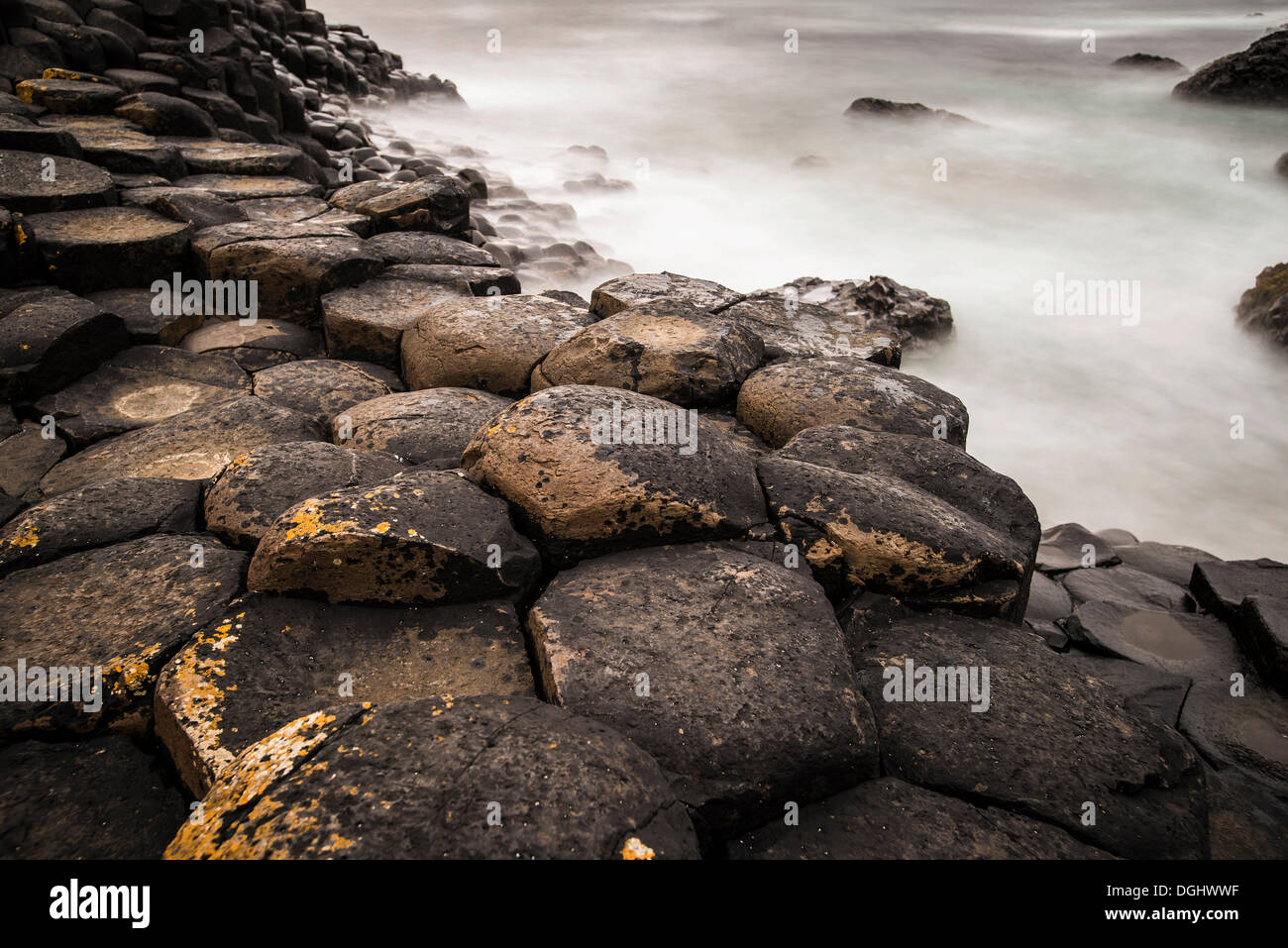 Giant's Causeway, colonnes de basalte, côte de Causeway, comté d'Antrim, en Irlande du Nord, Royaume-Uni, Europe Banque D'Images